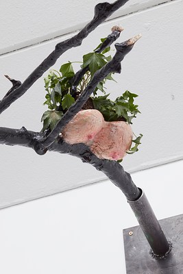 Image 16 of 32