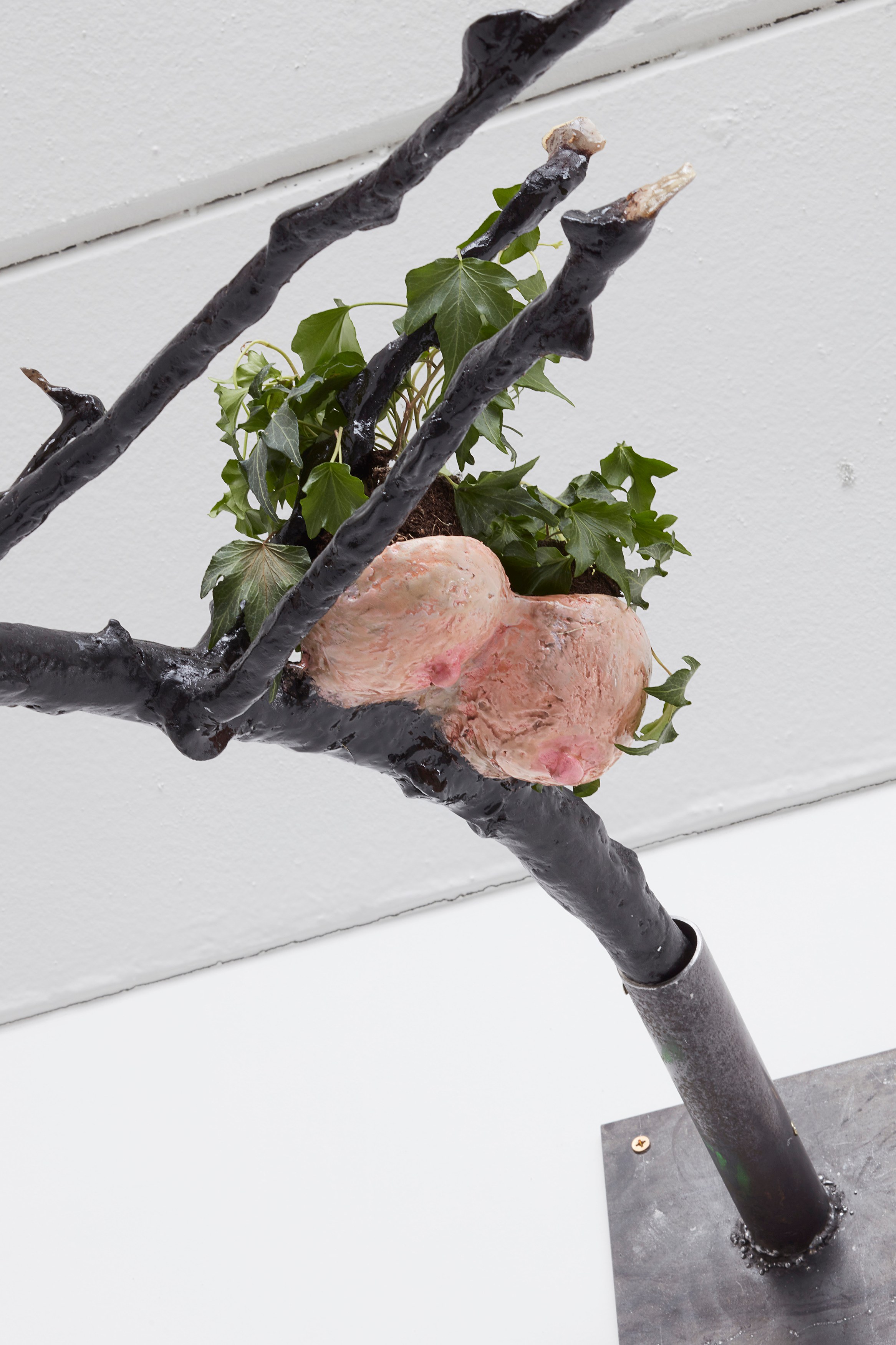 Laure Prouvost, Dear dirty dark drink drift down deep droll (in der dole) at Carlier Gebauer, photo 16