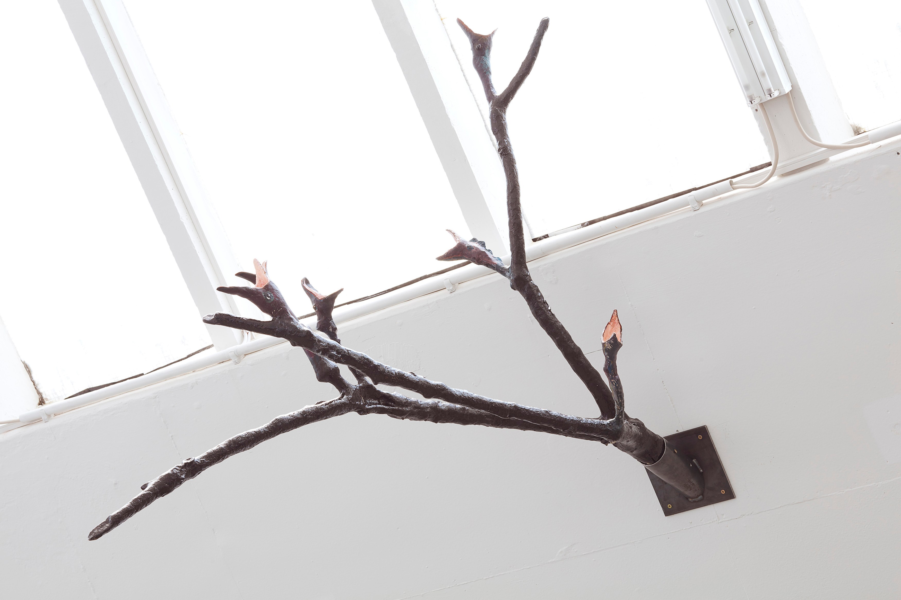 Laure Prouvost, Dear dirty dark drink drift down deep droll (in der dole) at Carlier Gebauer, photo 21
