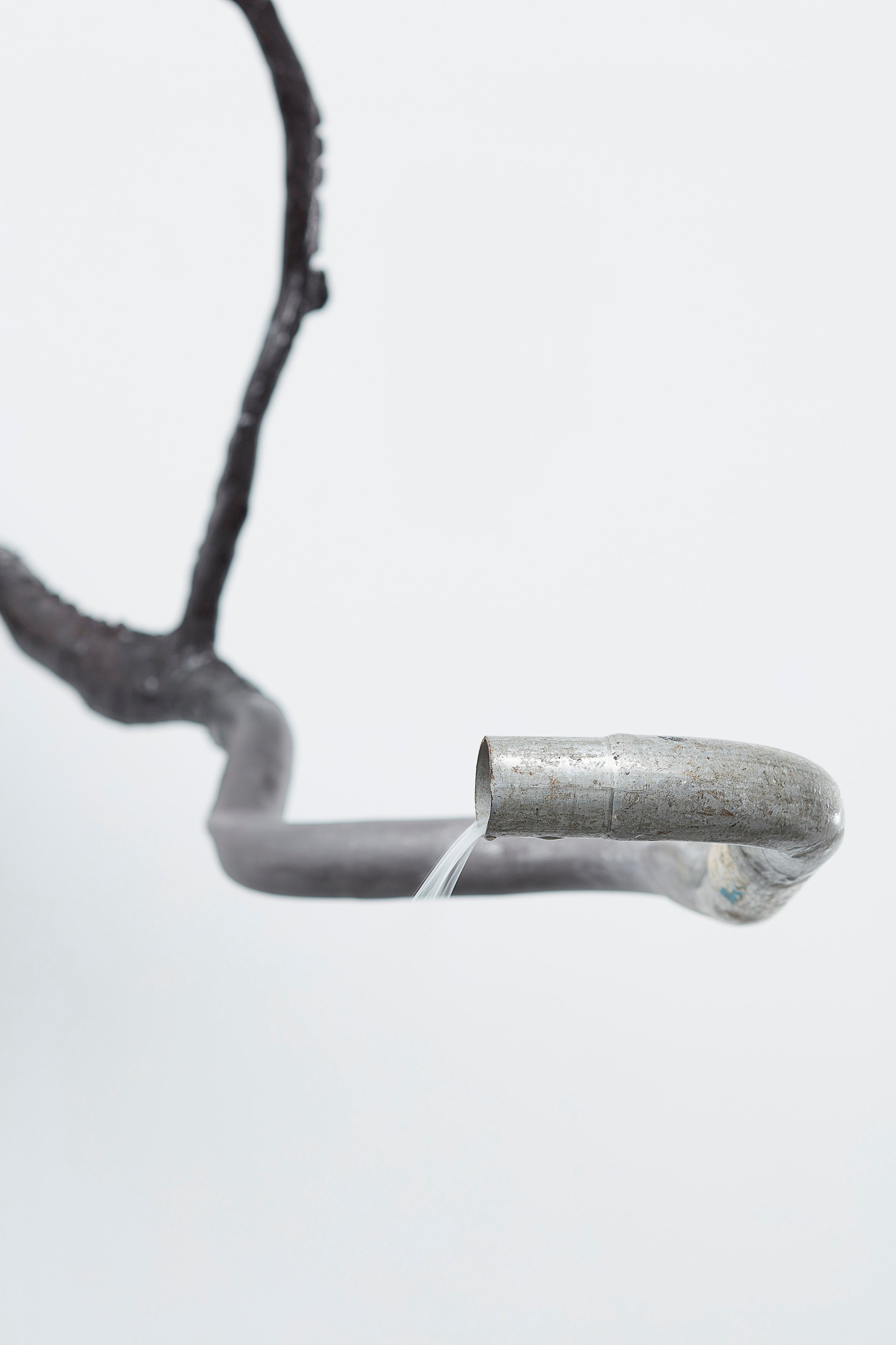 Laure Prouvost, Dear dirty dark drink drift down deep droll (in der dole) at Carlier Gebauer, photo 24