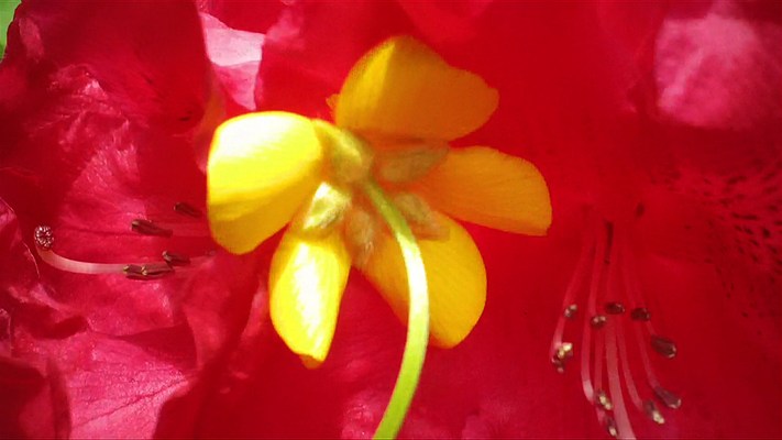 Image 28 of 32
