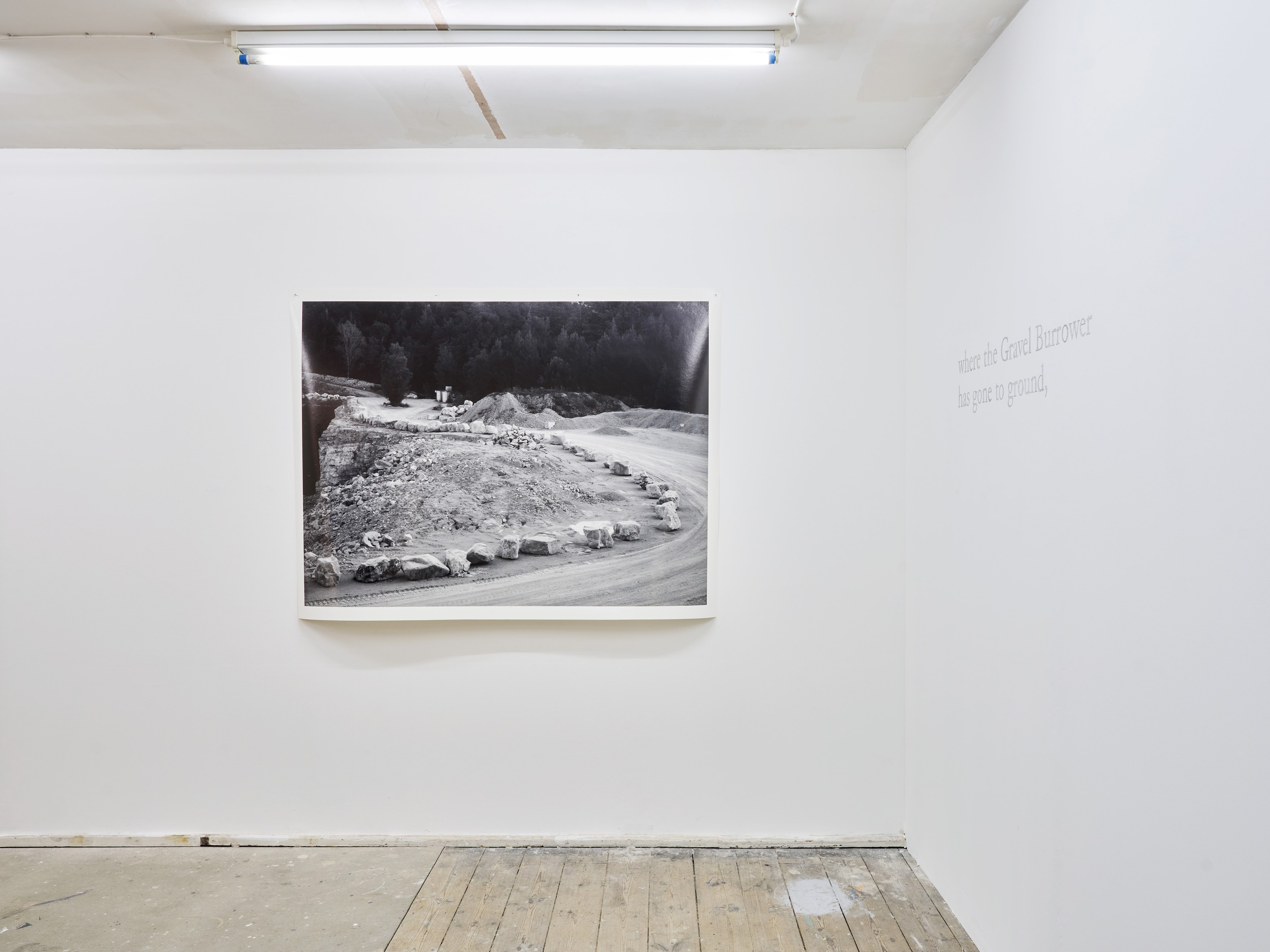 Esmée Desjardin, Sarah Dobai, Risk Ledger at Gestures, photo 2
