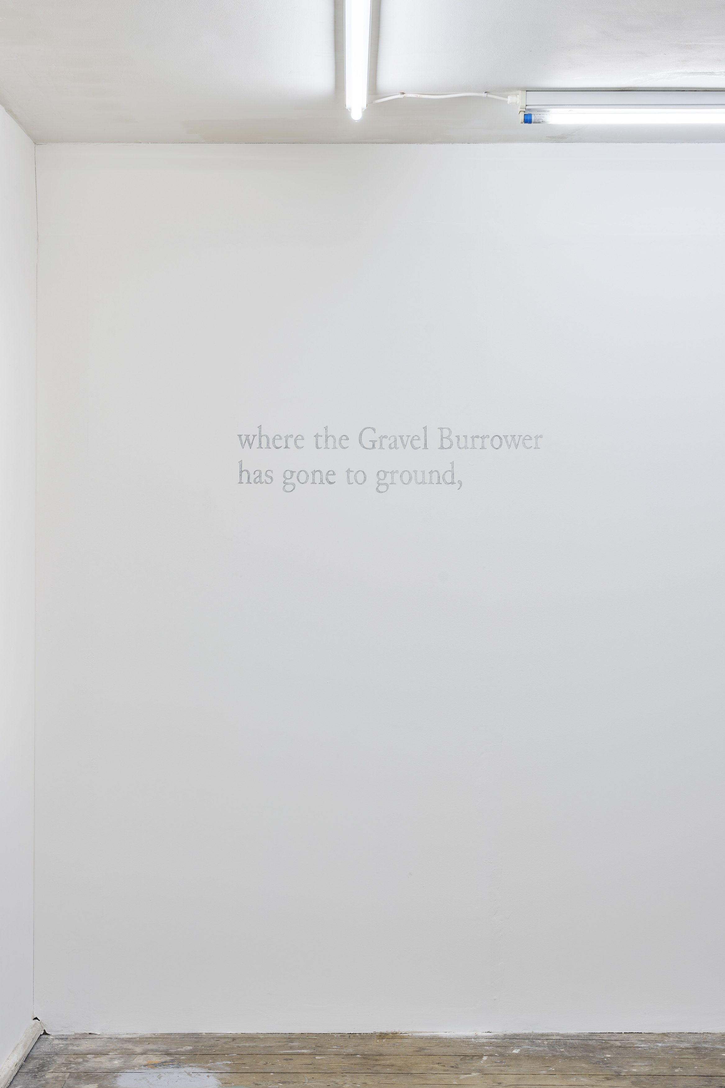 Esmée Desjardin, Sarah Dobai, Risk Ledger at Gestures, photo 3