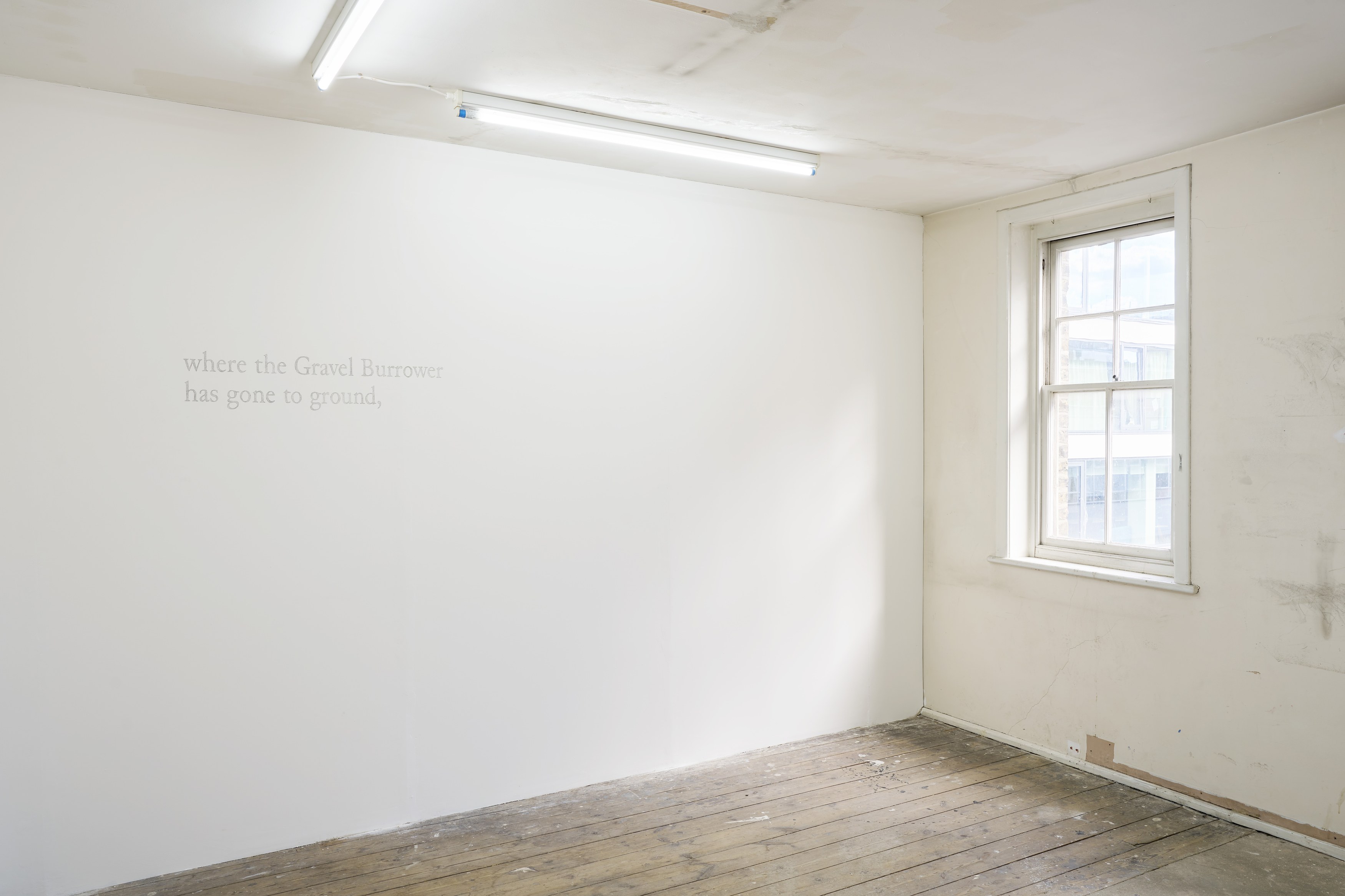 Esmée Desjardin, Sarah Dobai, Risk Ledger at Gestures, photo 6
