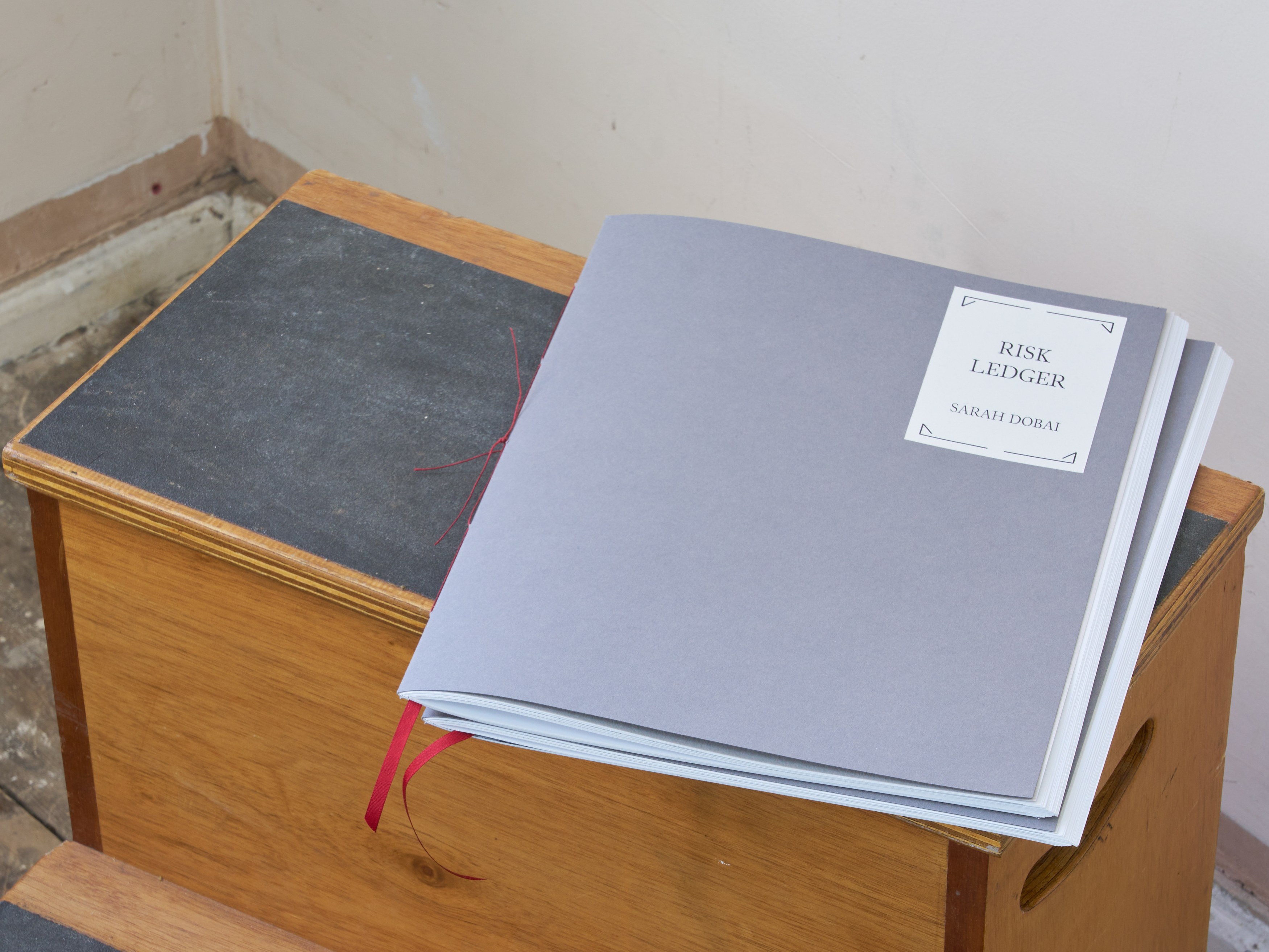 Esmée Desjardin, Sarah Dobai, Risk Ledger at Gestures, photo 8