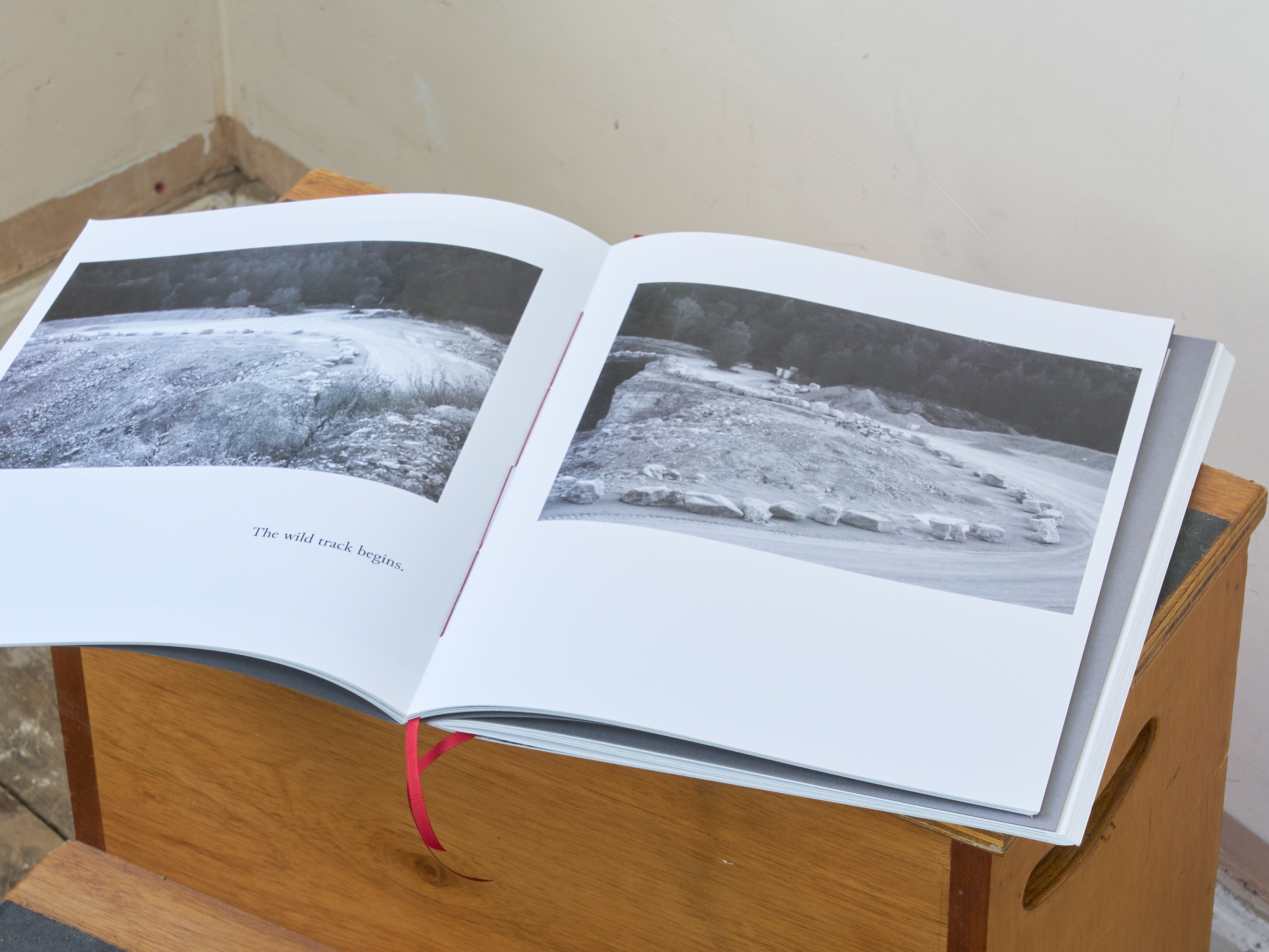 Esmée Desjardin, Sarah Dobai, Risk Ledger at Gestures, photo 9