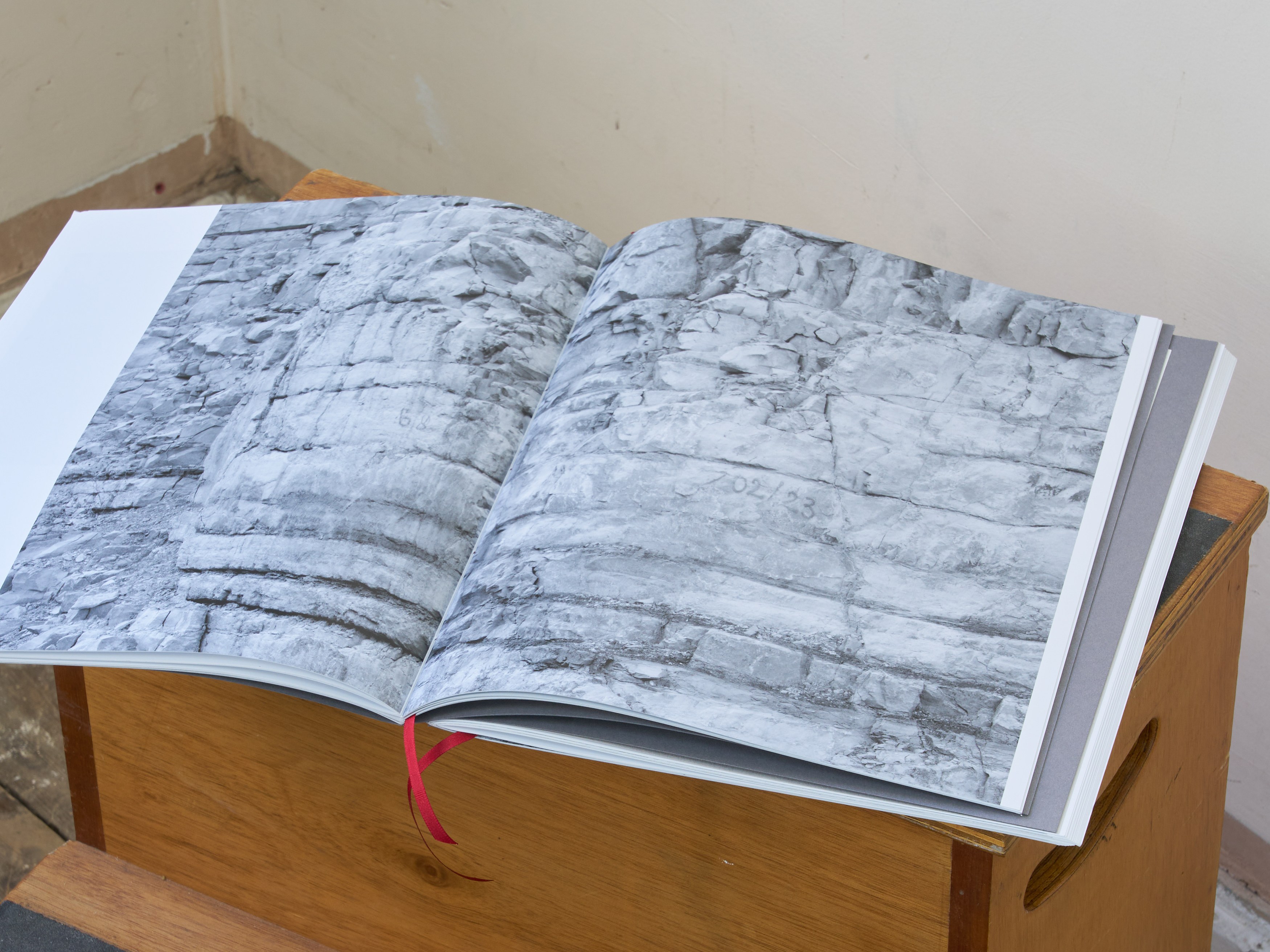 Esmée Desjardin, Sarah Dobai, Risk Ledger at Gestures, photo 10