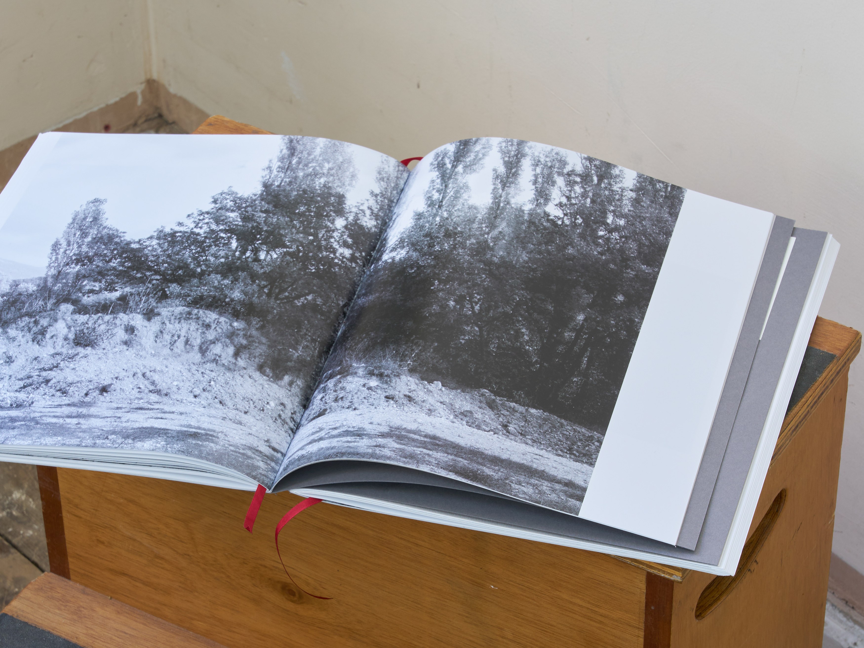 Esmée Desjardin, Sarah Dobai, Risk Ledger at Gestures, photo 11