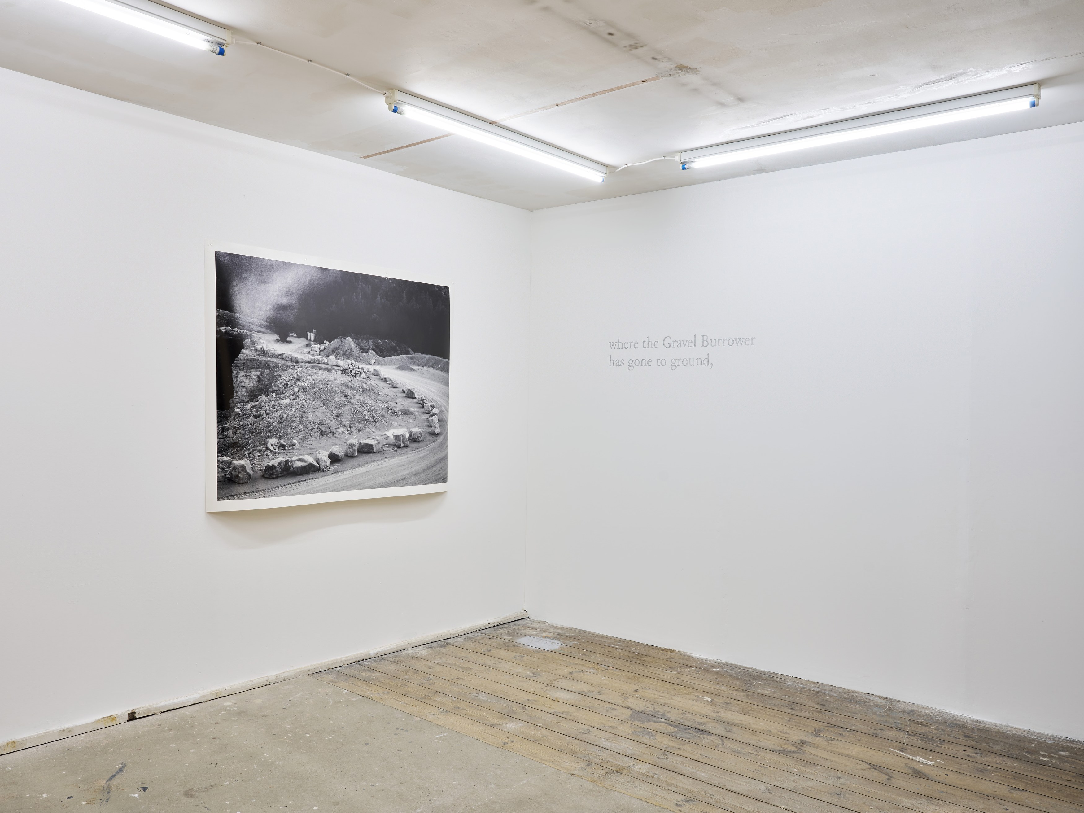 Esmée Desjardin, Sarah Dobai, Risk Ledger at Gestures, photo 13