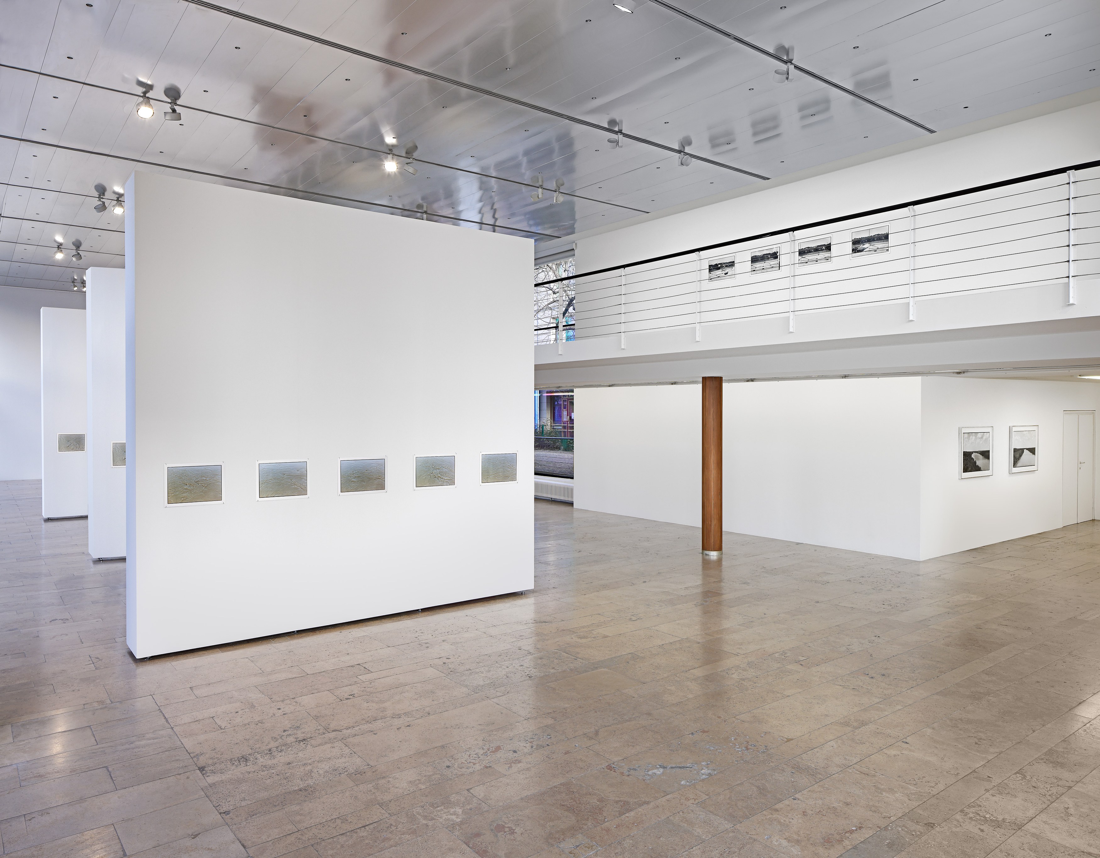 Zoe Leonard, A View from the Levee at Capitain Petzel, photo 2