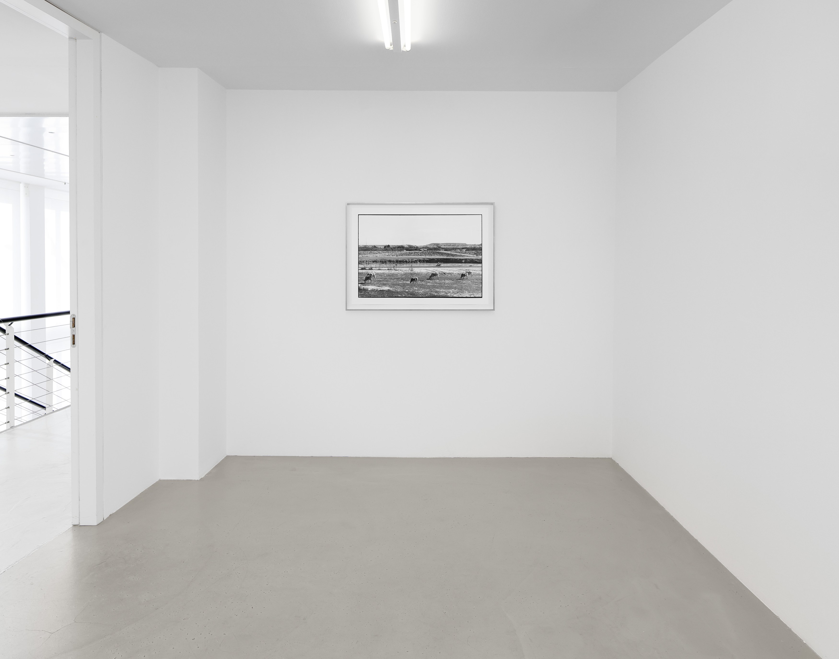 Zoe Leonard, A View from the Levee at Capitain Petzel, photo 9