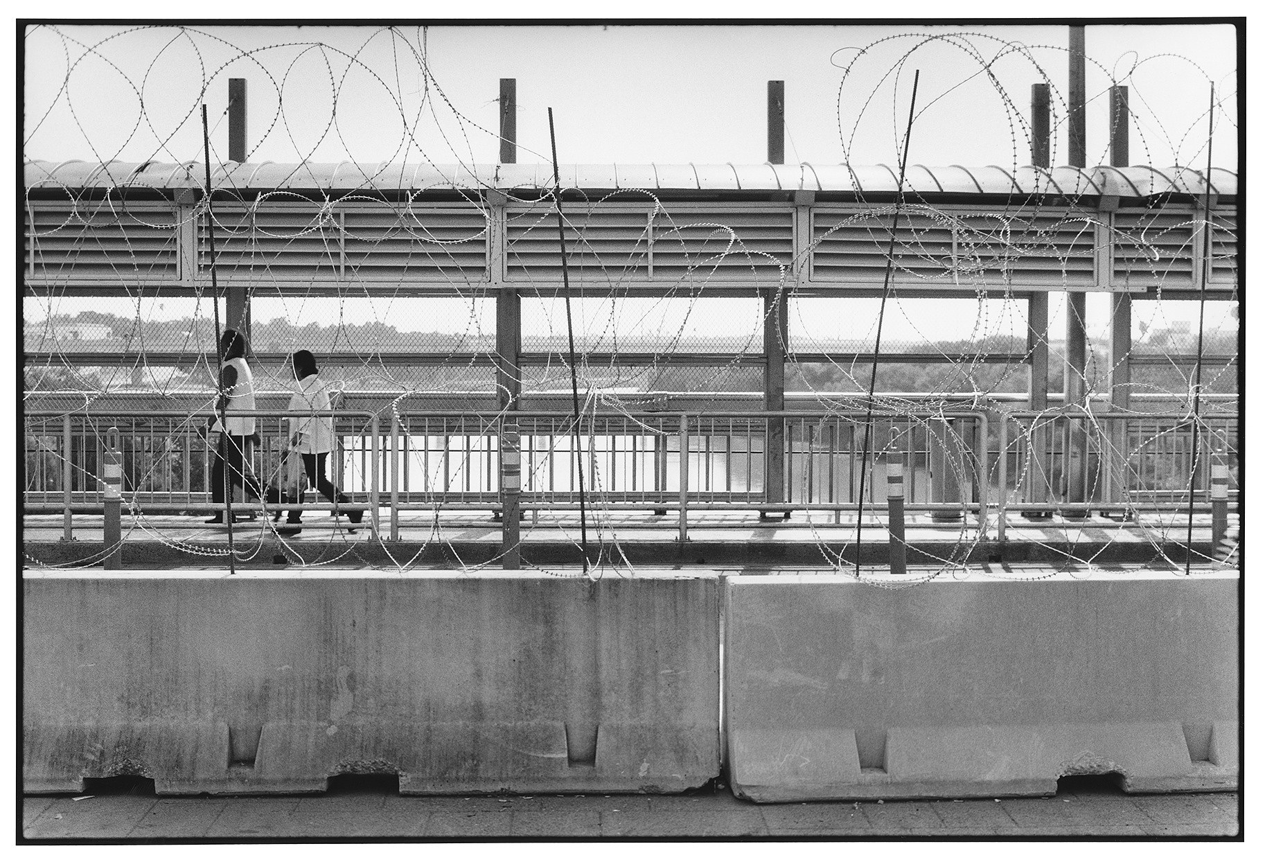 Zoe Leonard, A View from the Levee at Capitain Petzel, photo 38