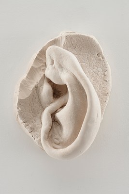 Image 17 of 19