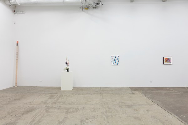 Image 4 of 22