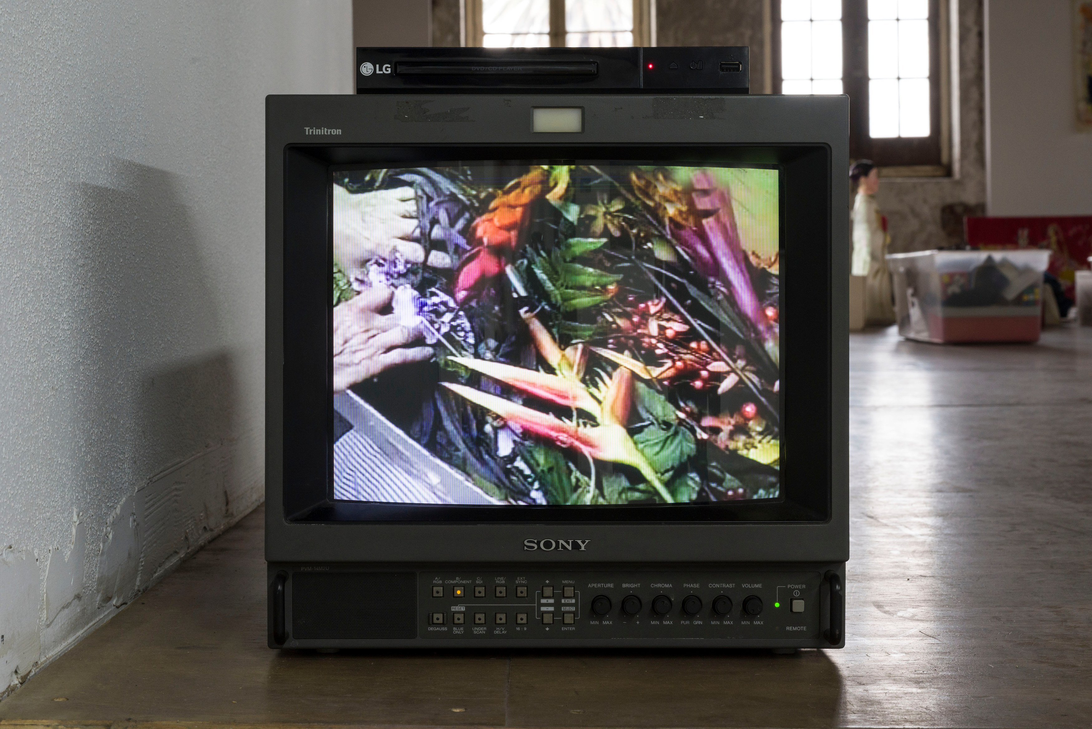 Ken Okiishi, A Model Childhood at Reena Spaulings Fine Art, photo 11