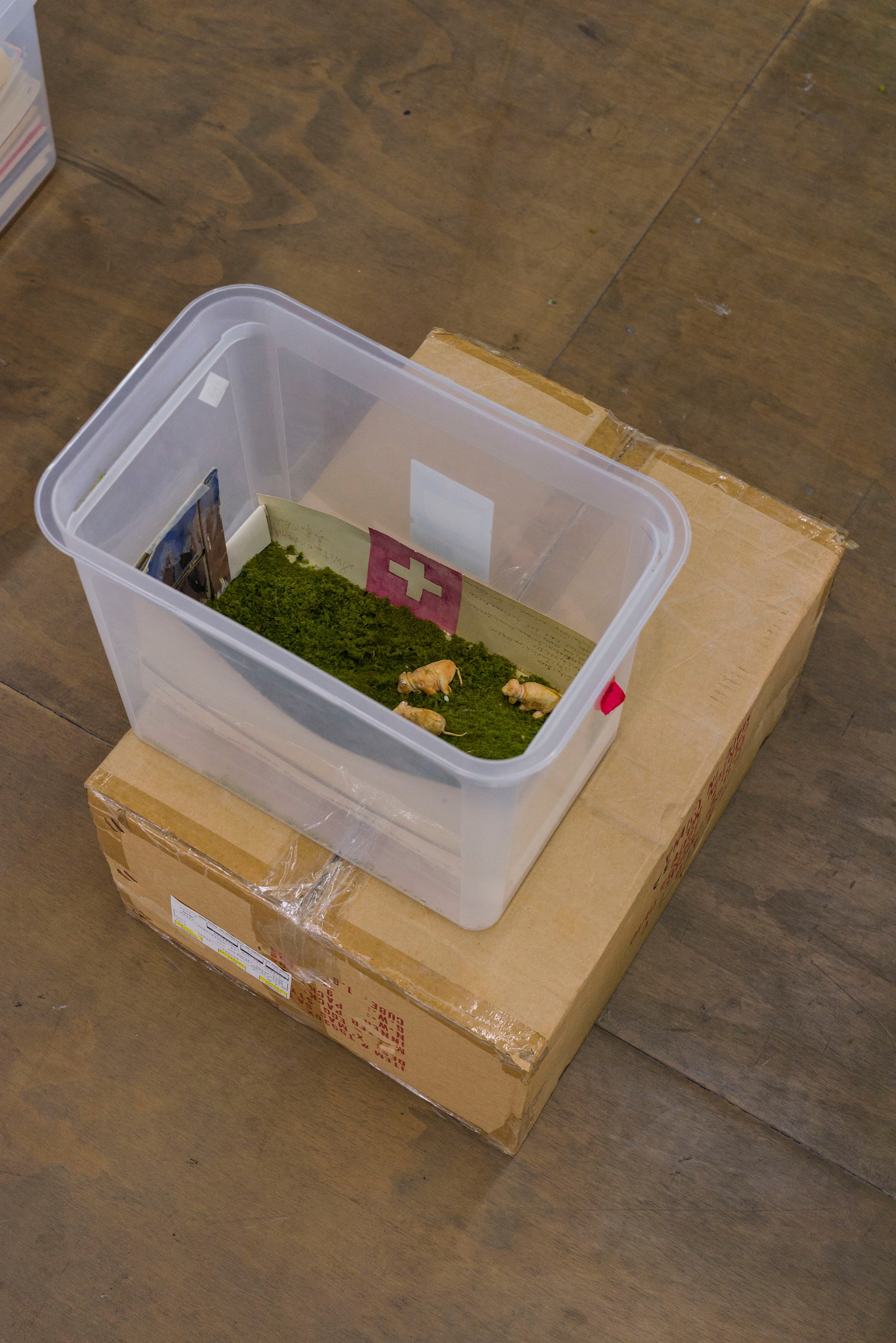 Ken Okiishi, A Model Childhood at Reena Spaulings Fine Art, photo 28