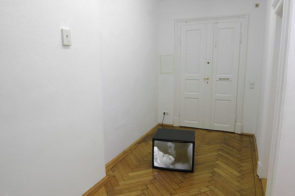 Image 4 of 22