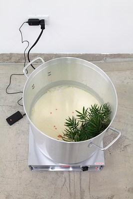 Image 11 of 22