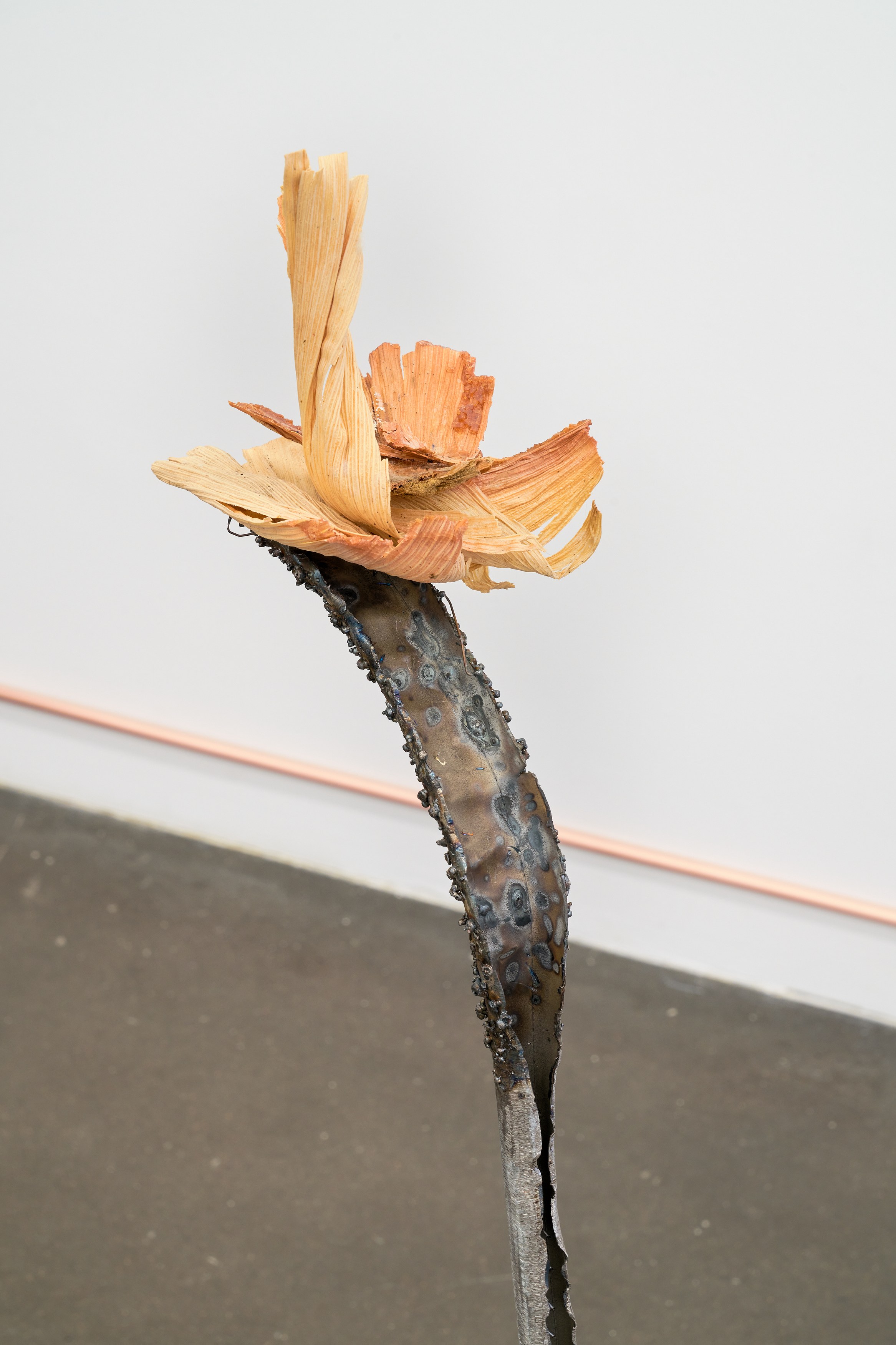 Clare Koury, Viktor Timofeev, The Long Dark at Cuchifritos, photo 6