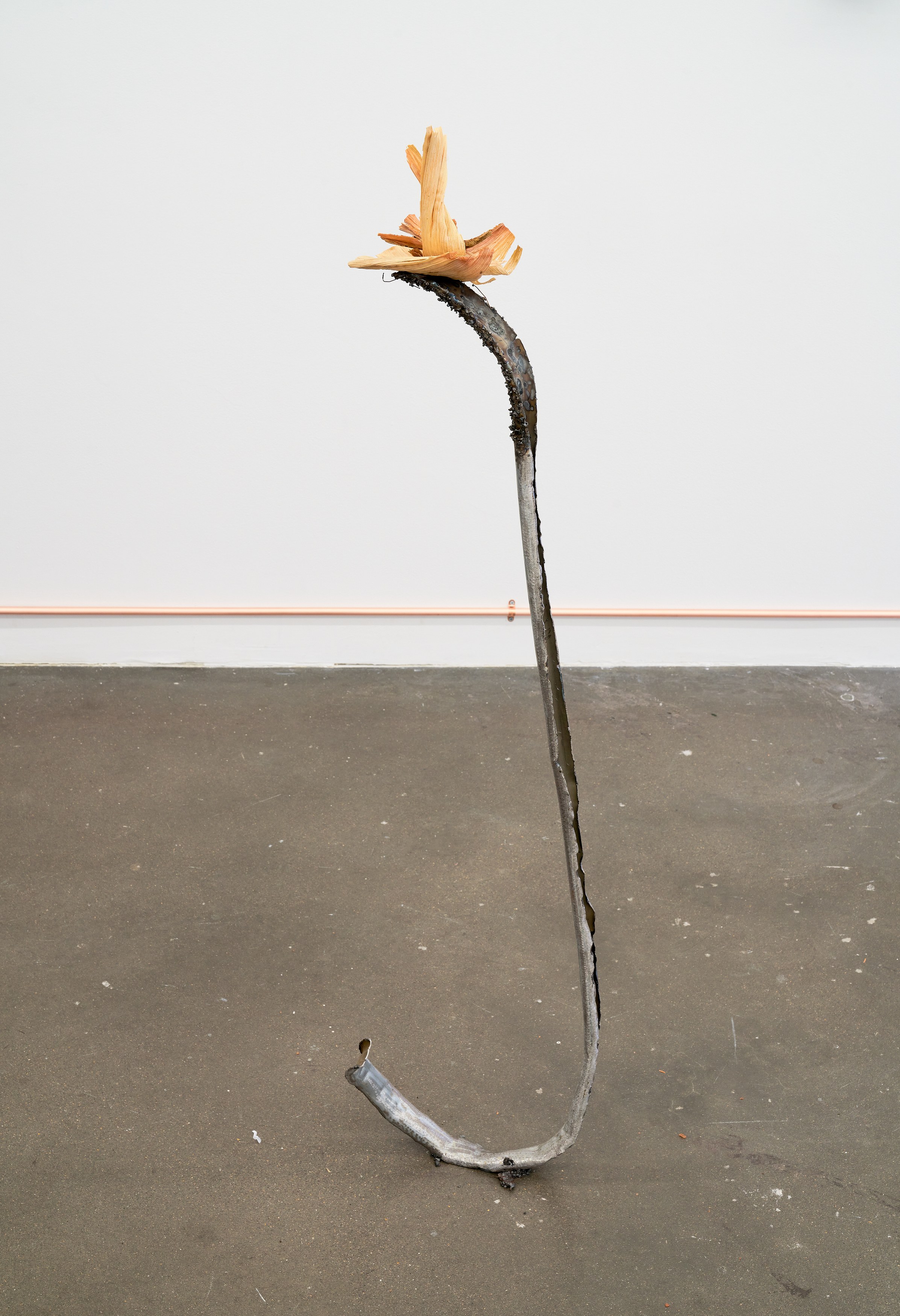 Clare Koury, Viktor Timofeev, The Long Dark at Cuchifritos, photo 7