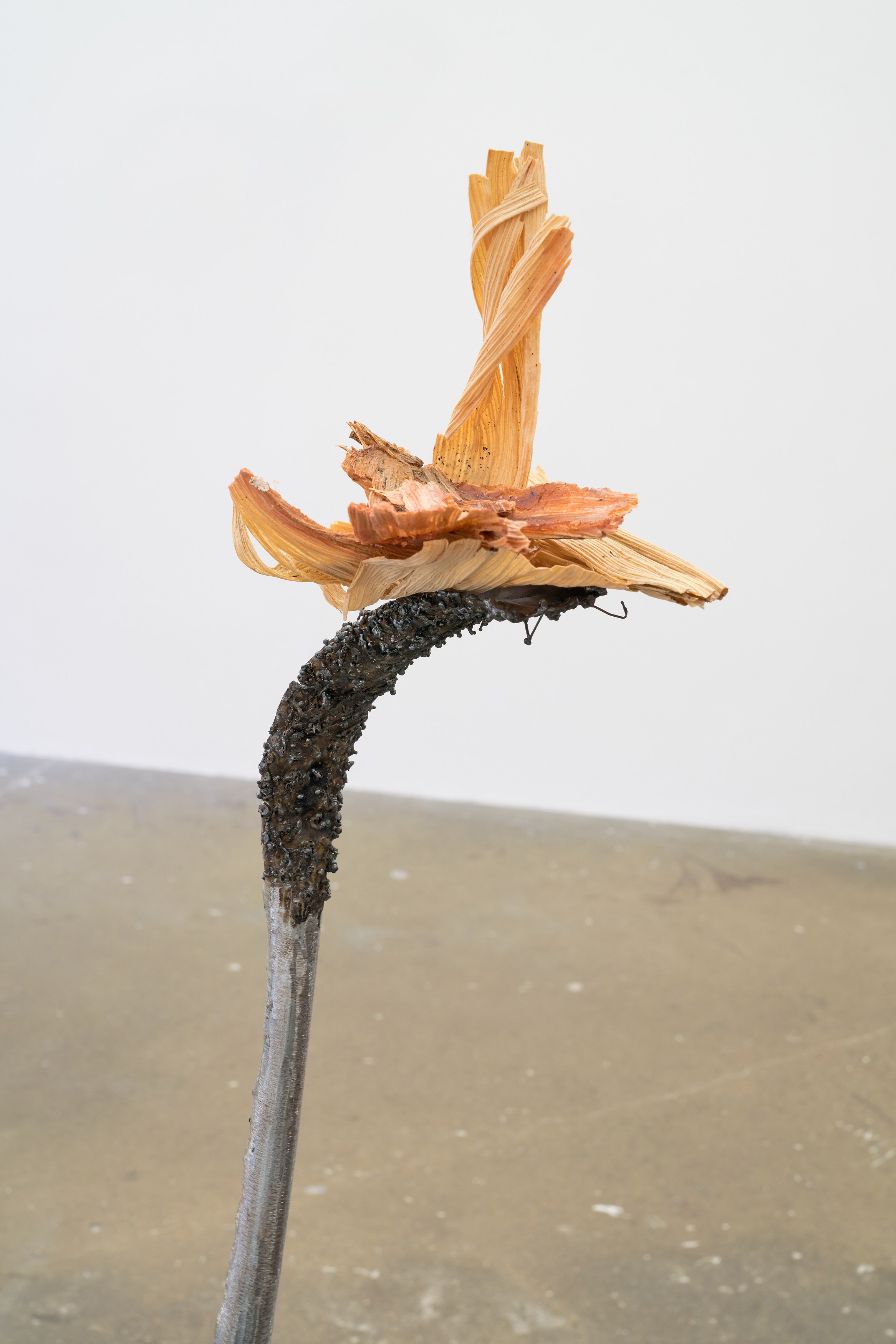 Clare Koury, Viktor Timofeev, The Long Dark at Cuchifritos, photo 8