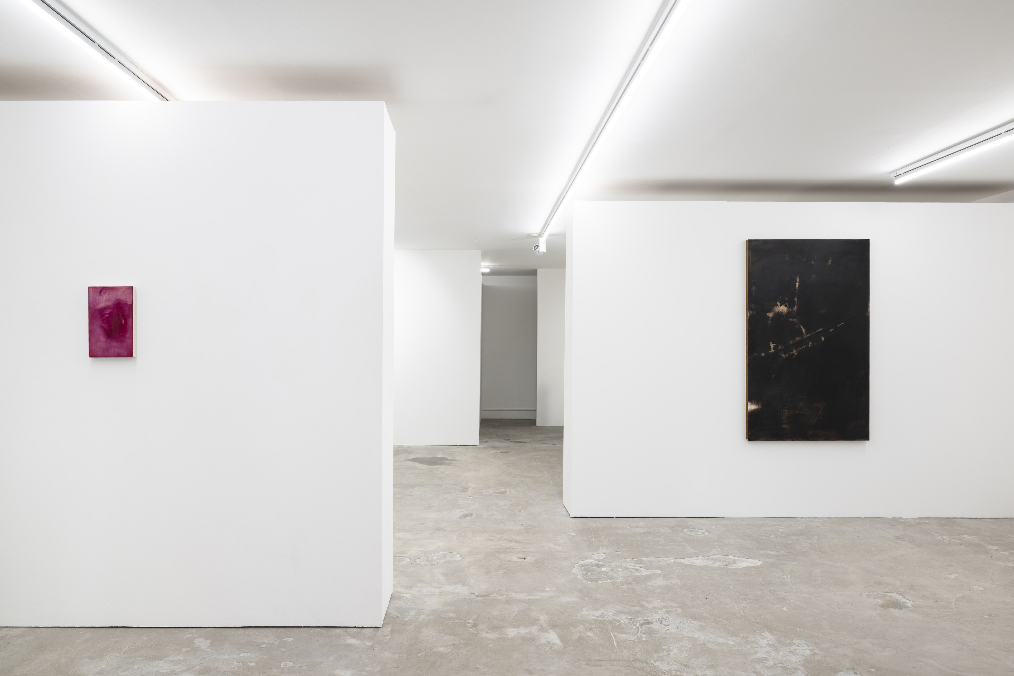 Juliette Blightman, Clémentine Bruno, In the Meantime at Niru Ratnam, photo 4