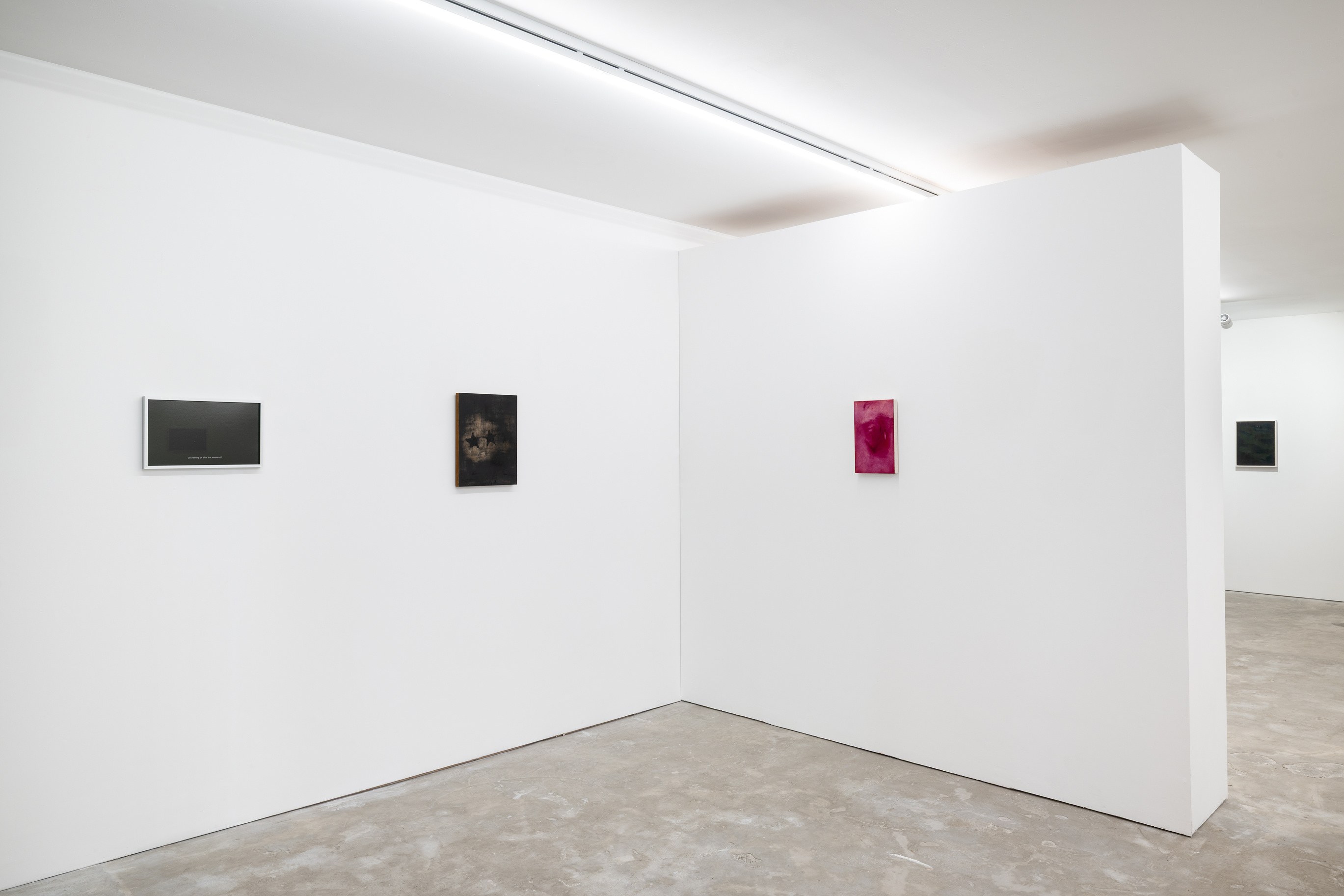 Juliette Blightman, Clémentine Bruno, In the Meantime at Niru Ratnam, photo 5