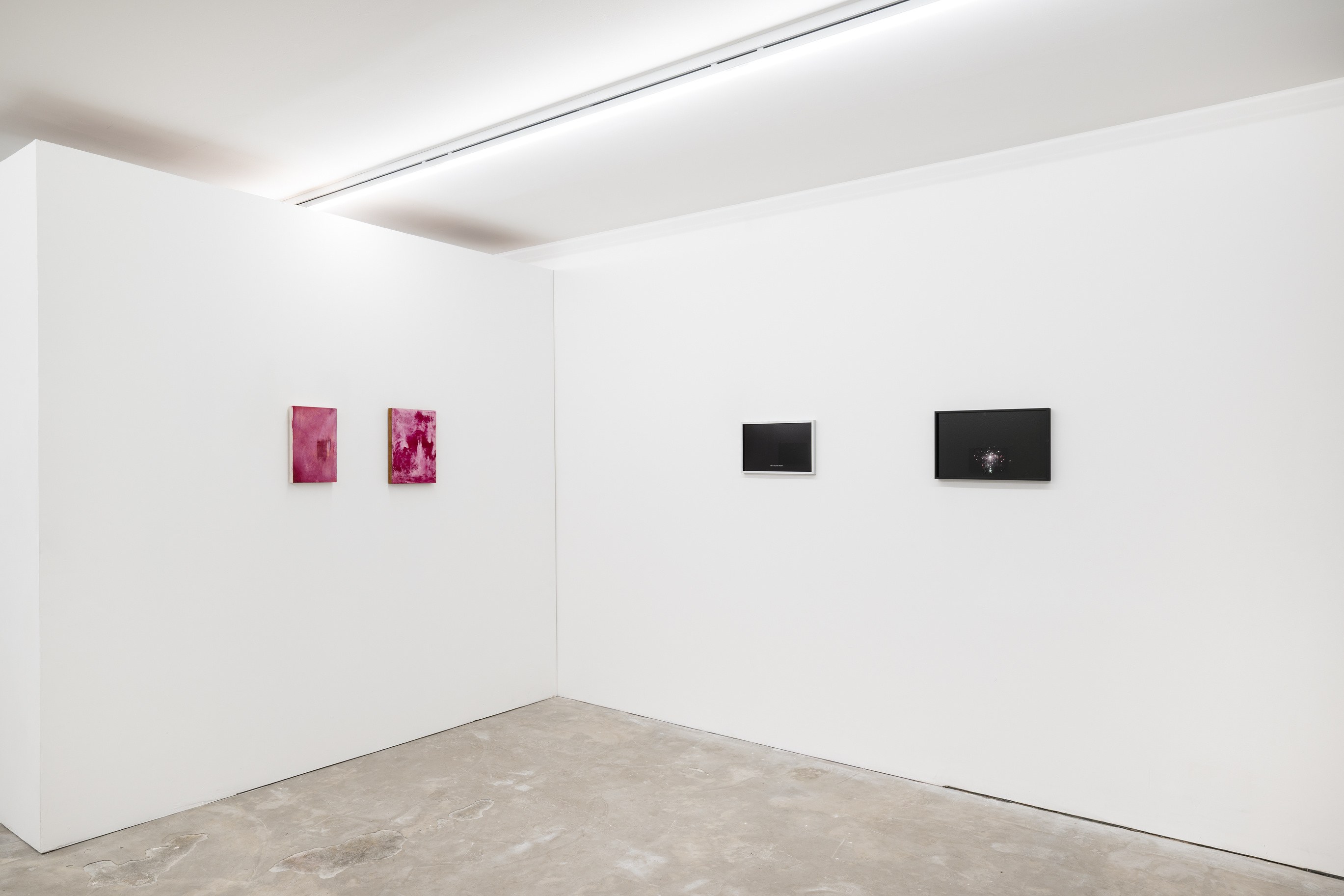 Juliette Blightman, Clémentine Bruno, In the Meantime at Niru Ratnam, photo 6