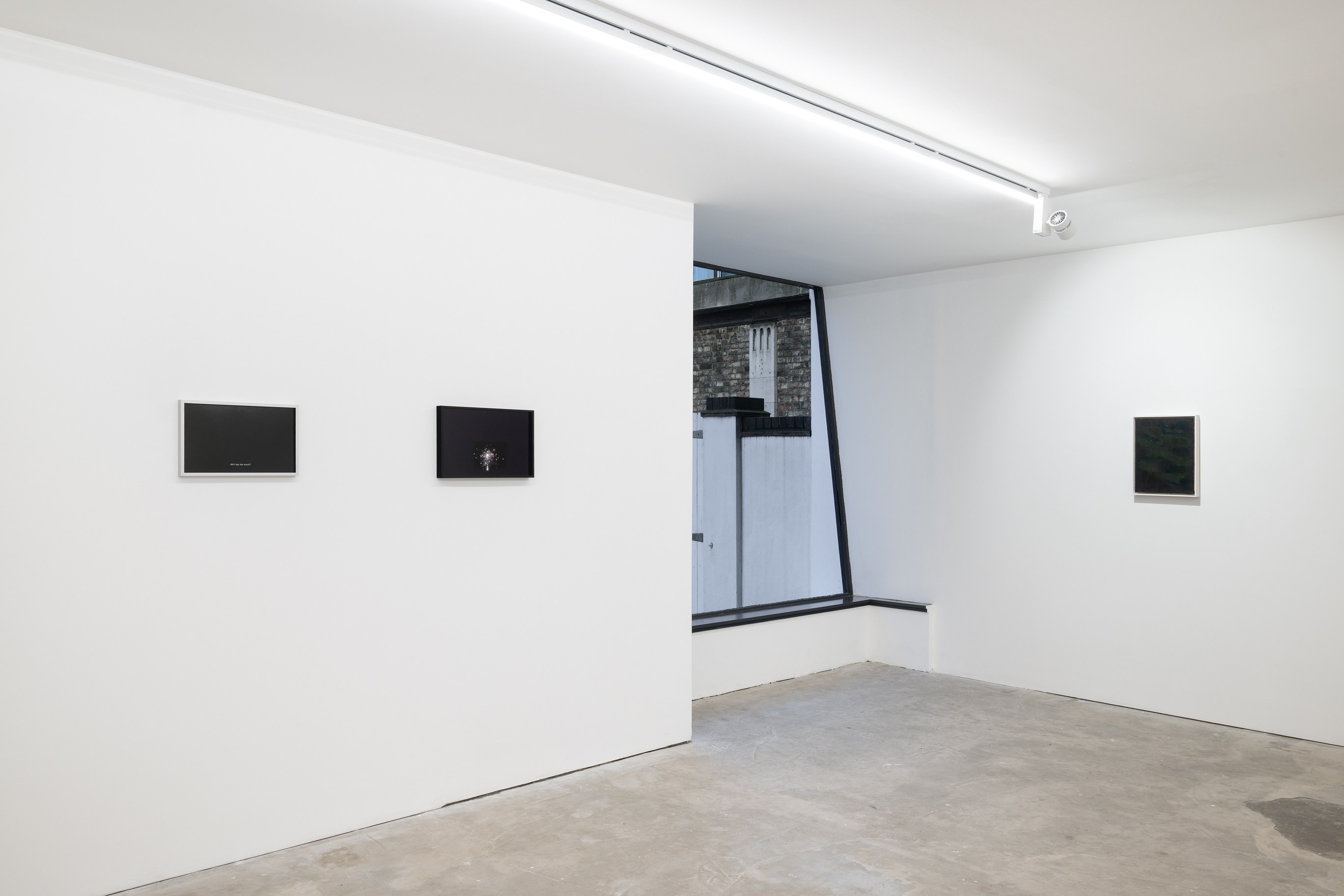 Juliette Blightman, Clémentine Bruno, In the Meantime at Niru Ratnam, photo 7