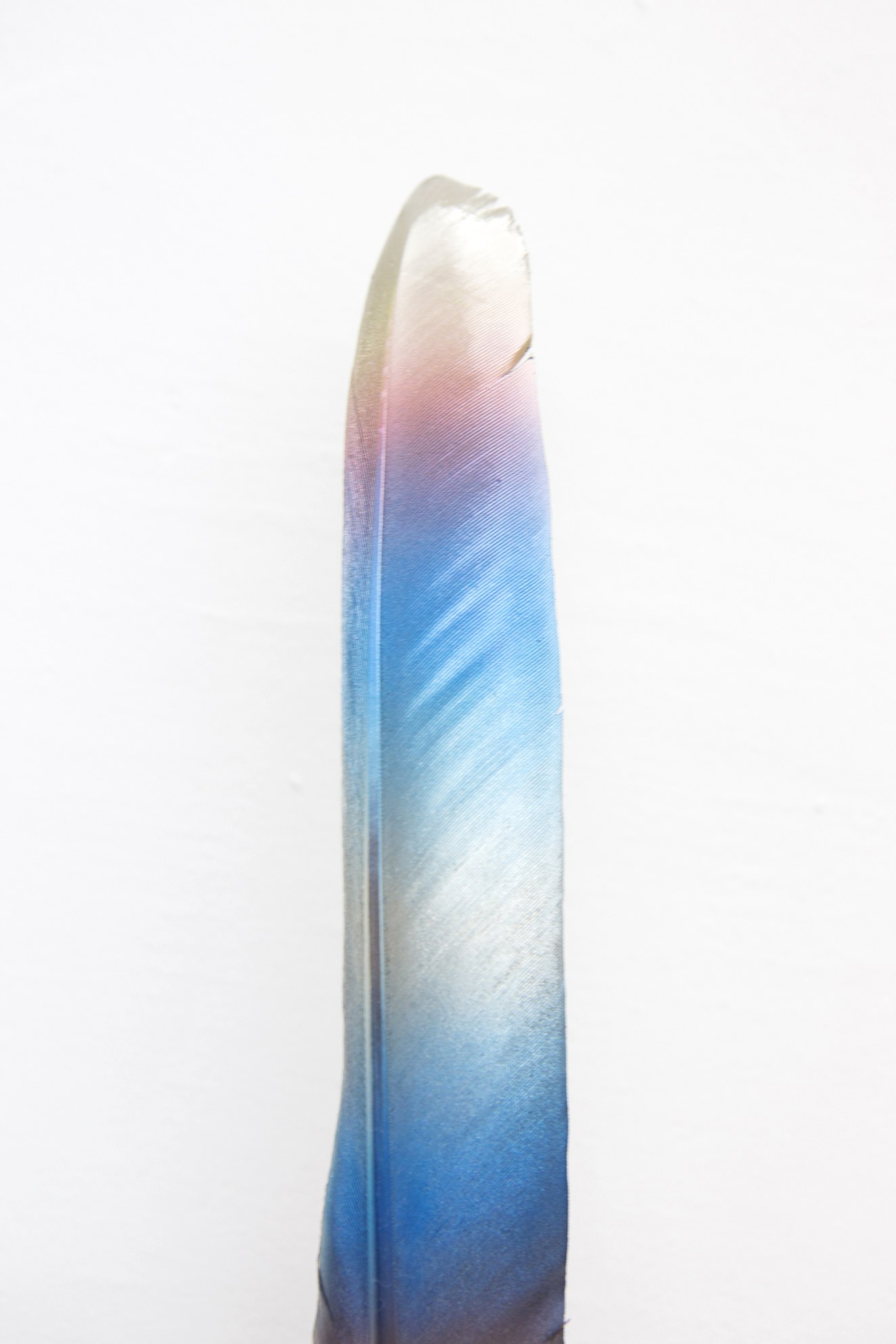 Anders Clausen, Untitled at Between Bridges, photo 12