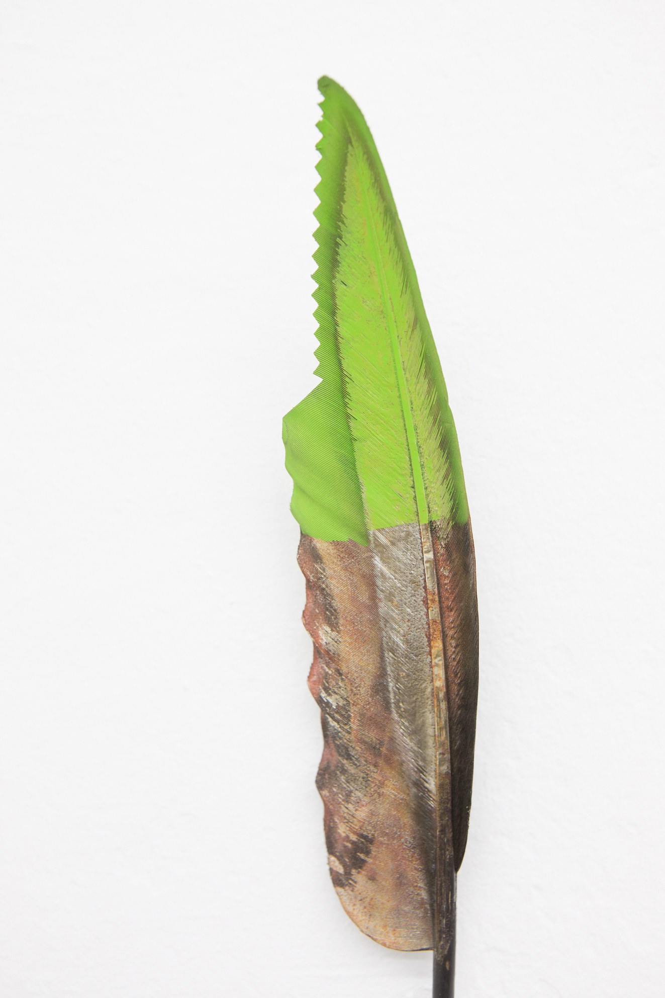 Anders Clausen, Untitled at Between Bridges, photo 13