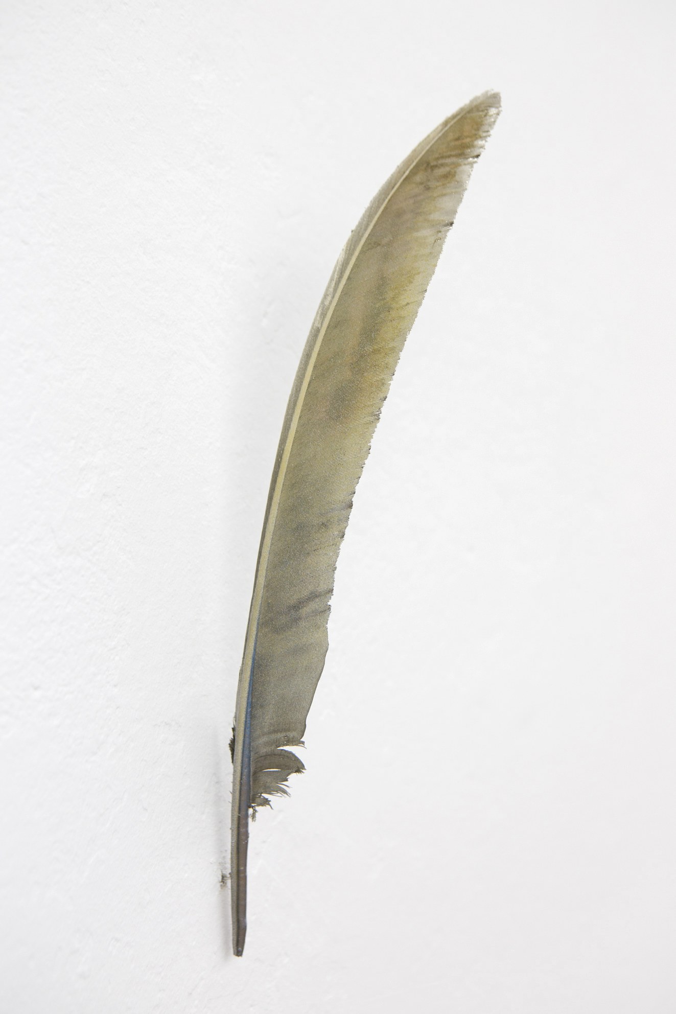 Anders Clausen, Untitled at Between Bridges, photo 14