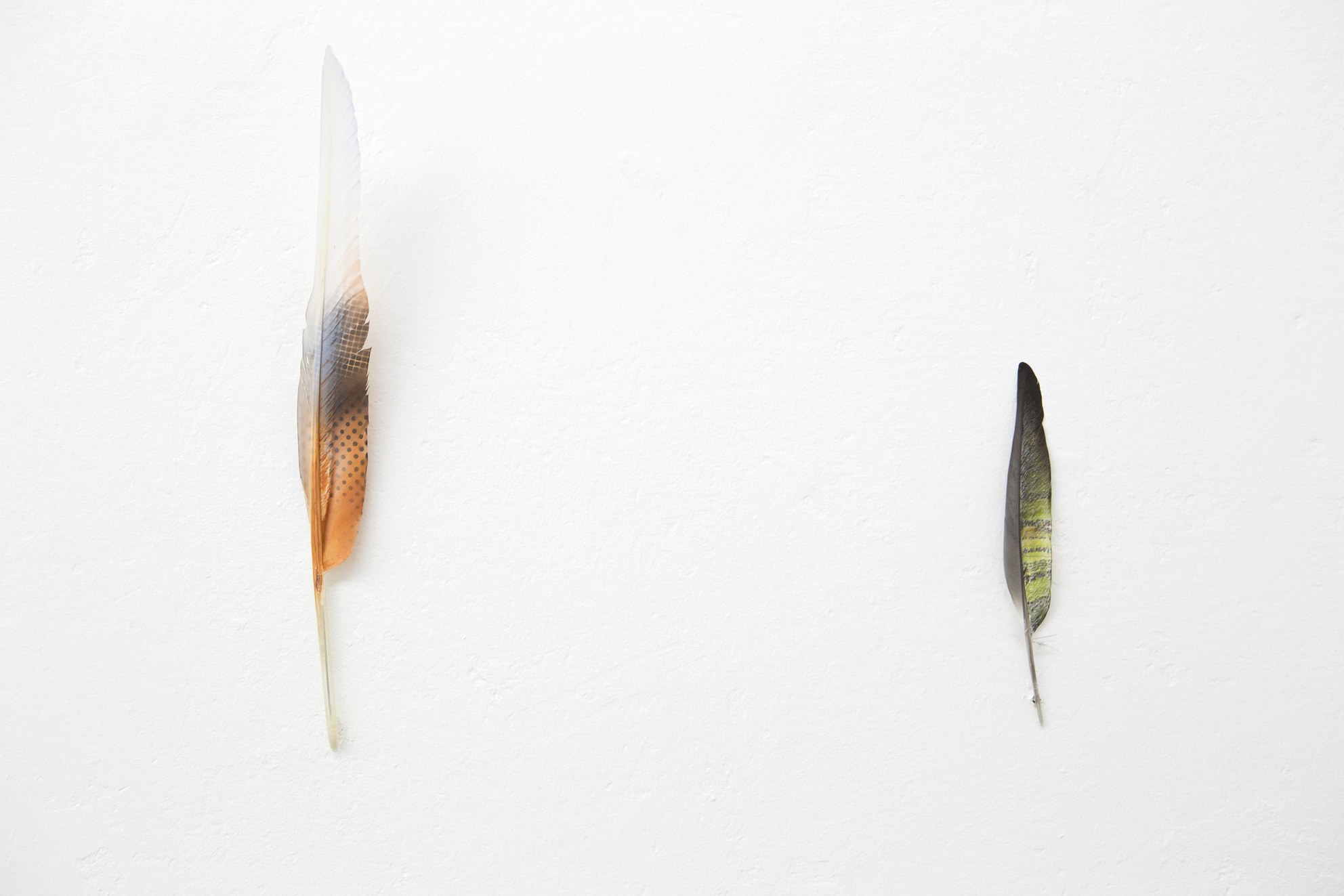 Anders Clausen, Untitled at Between Bridges, photo 16