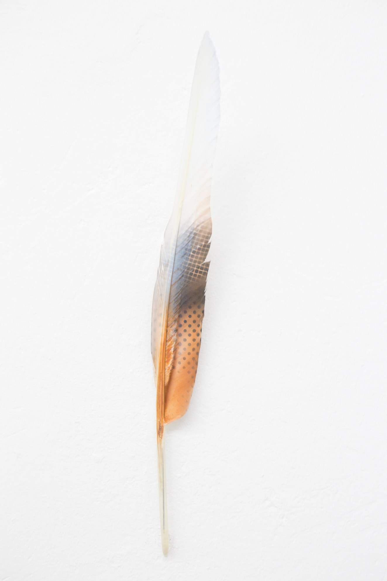 Anders Clausen, Untitled at Between Bridges, photo 17