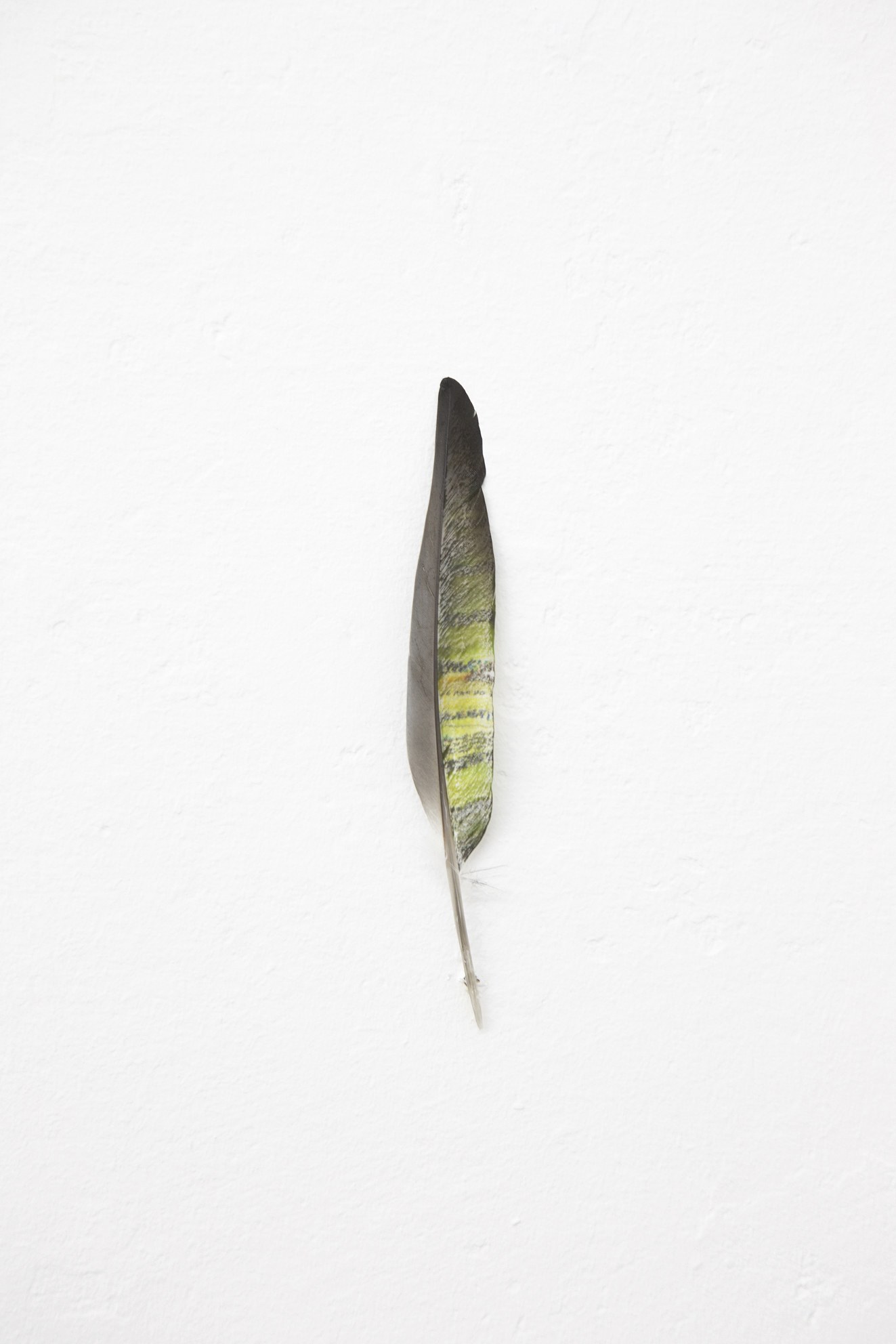 Anders Clausen, Untitled at Between Bridges, photo 18