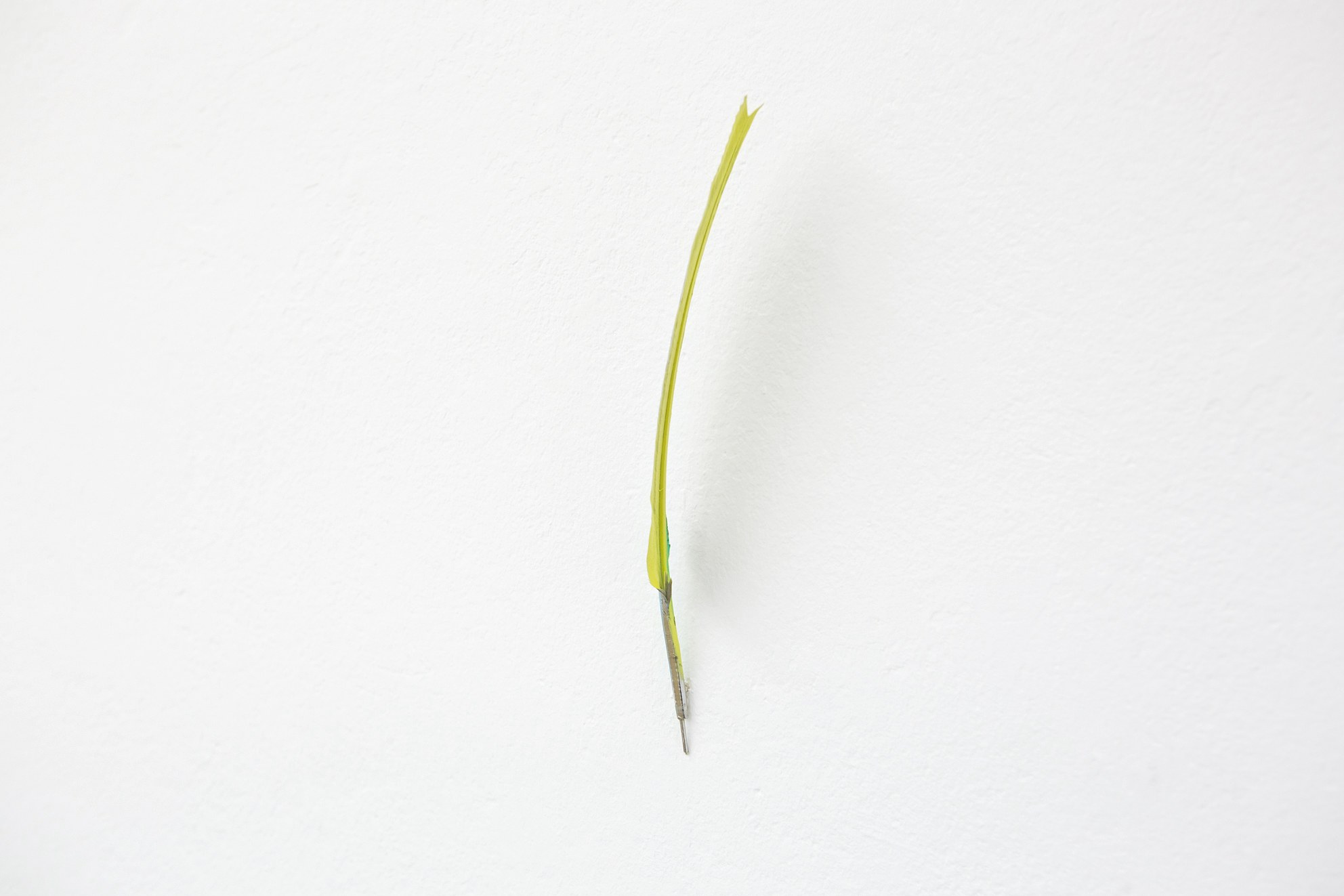 Anders Clausen, Untitled at Between Bridges, photo 21