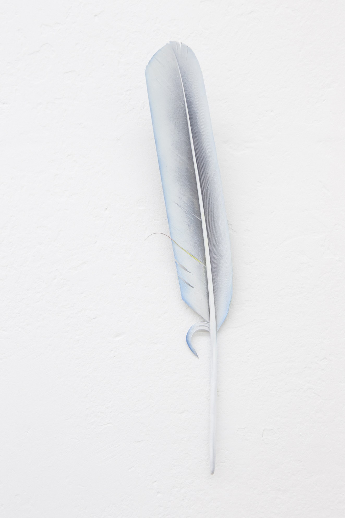 Anders Clausen, Untitled at Between Bridges, photo 22