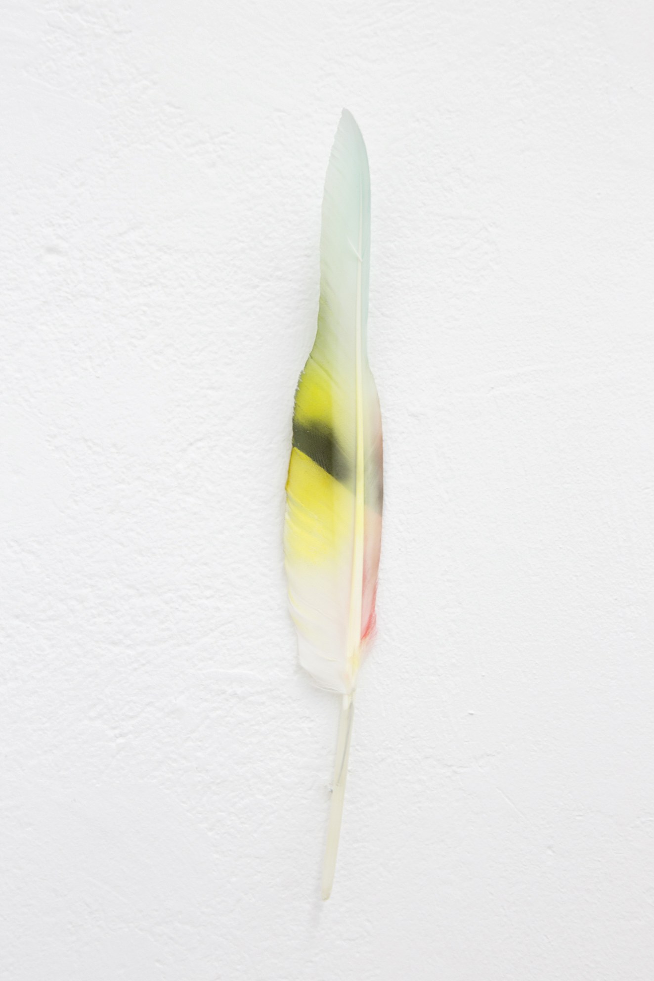 Anders Clausen, Untitled at Between Bridges, photo 24