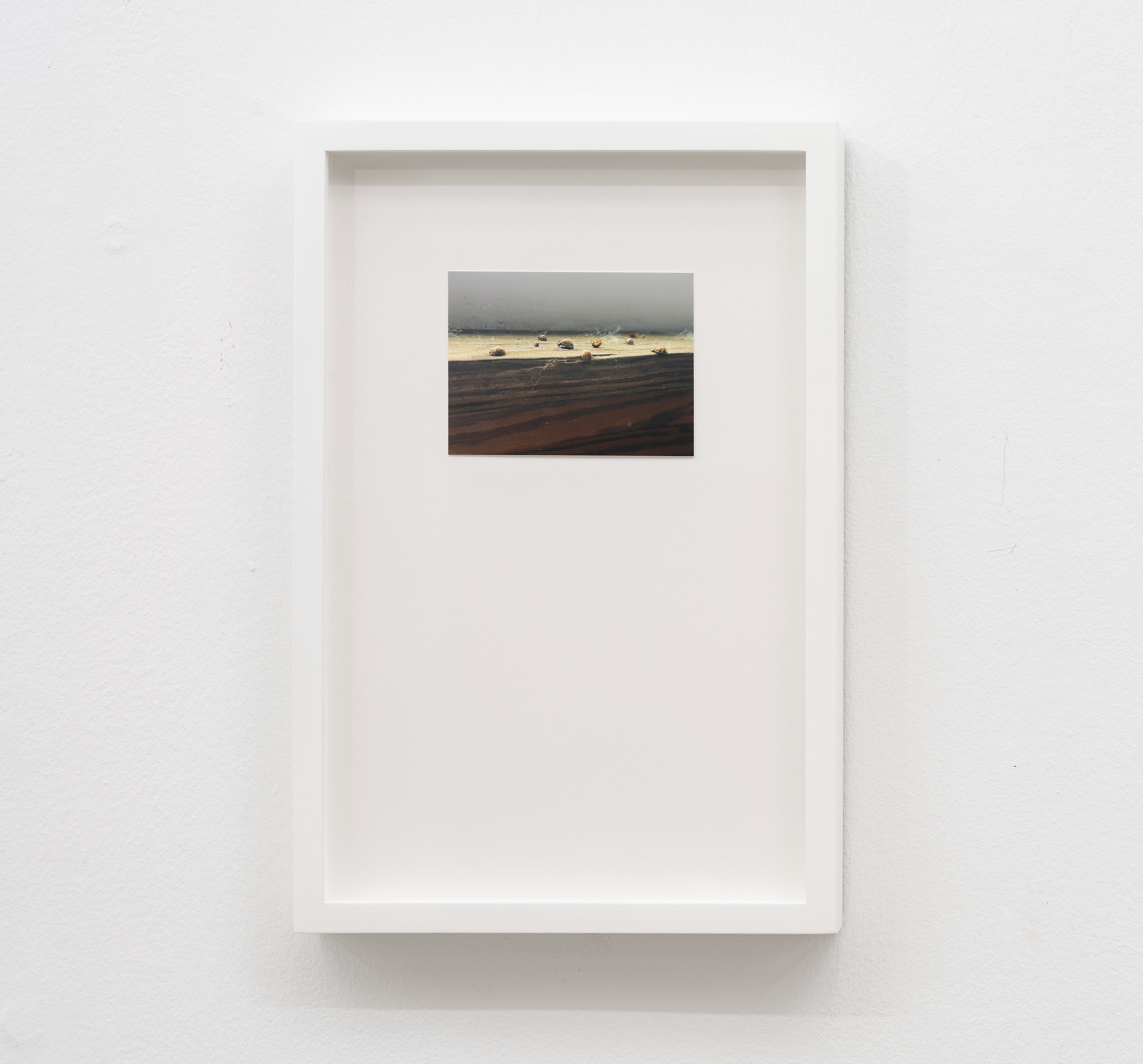 Kye Christensen-Knowles, image 25 of 25