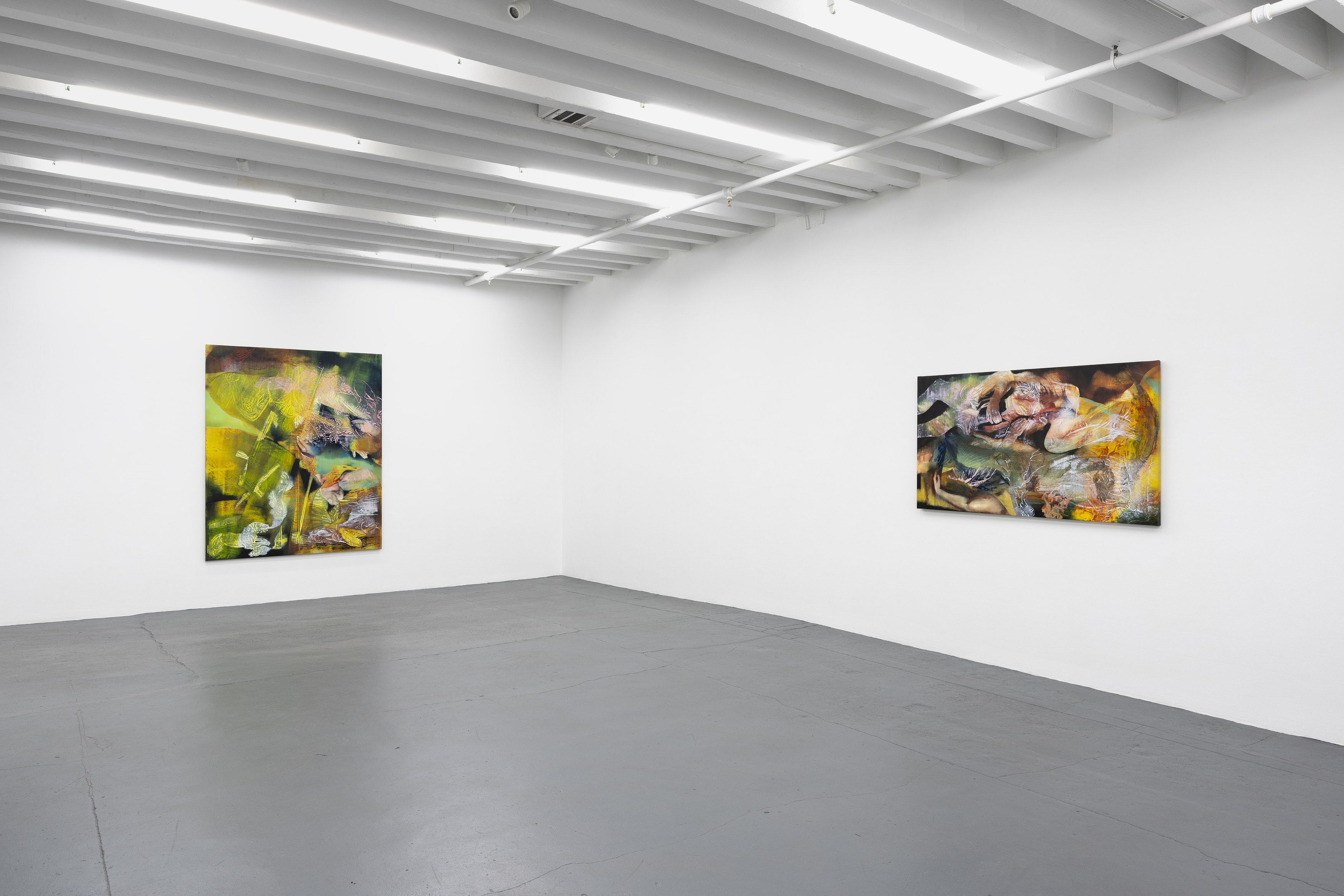 Alex Carver, The Knot at Miguel Abreu, New York (88 Eldridge Street, 36 Orchard Street), photo 9