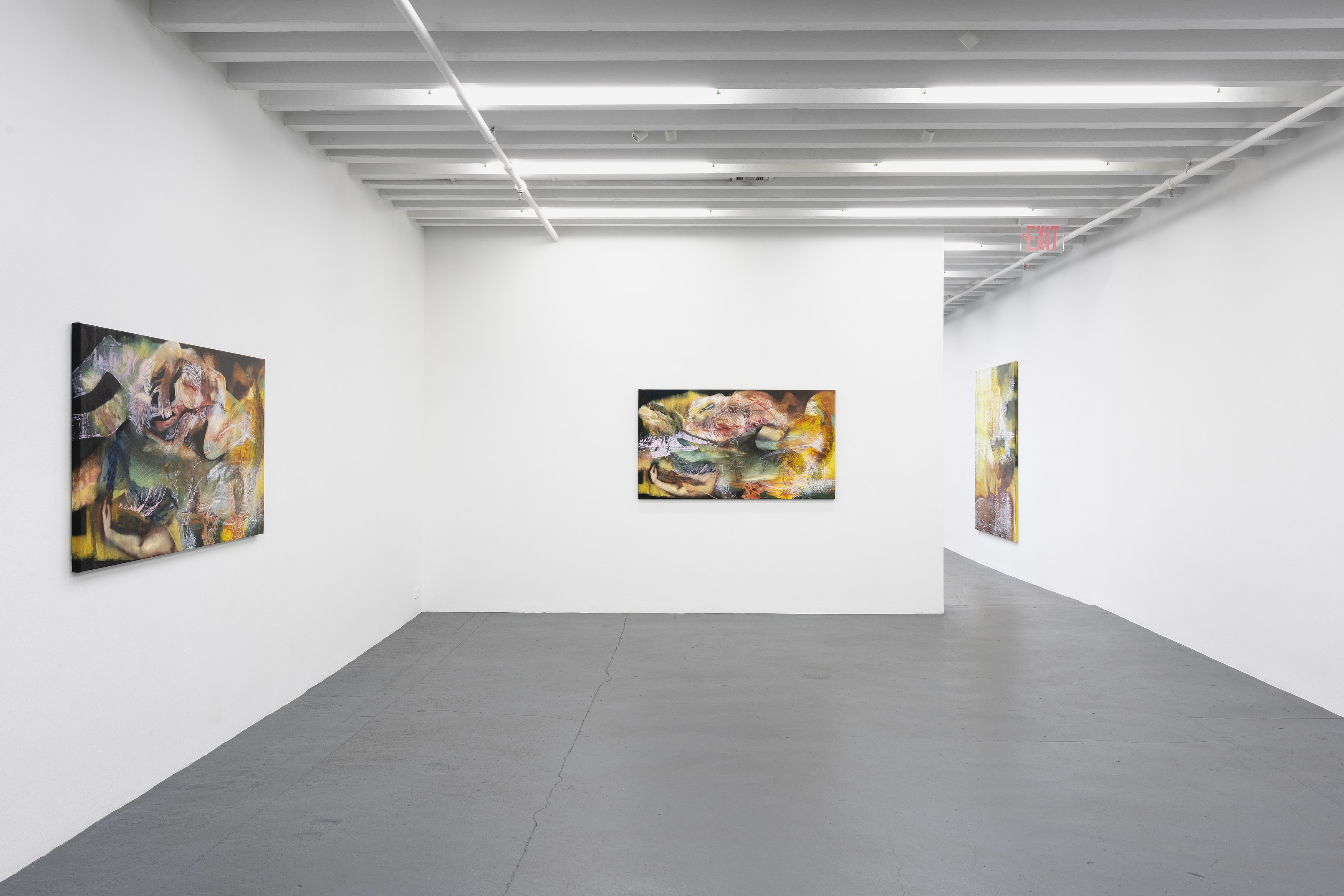 Alex Carver, The Knot at Miguel Abreu, New York (88 Eldridge Street, 36 Orchard Street), photo 13