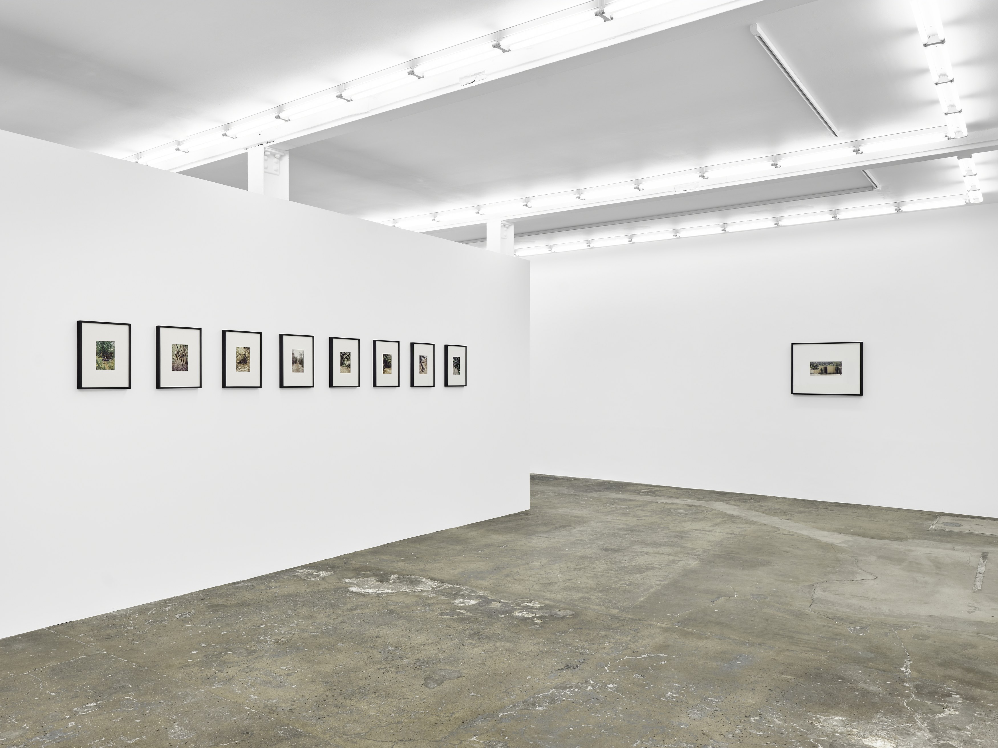 Dean Sameshima, Wonderland at Soft Opening, photo 2