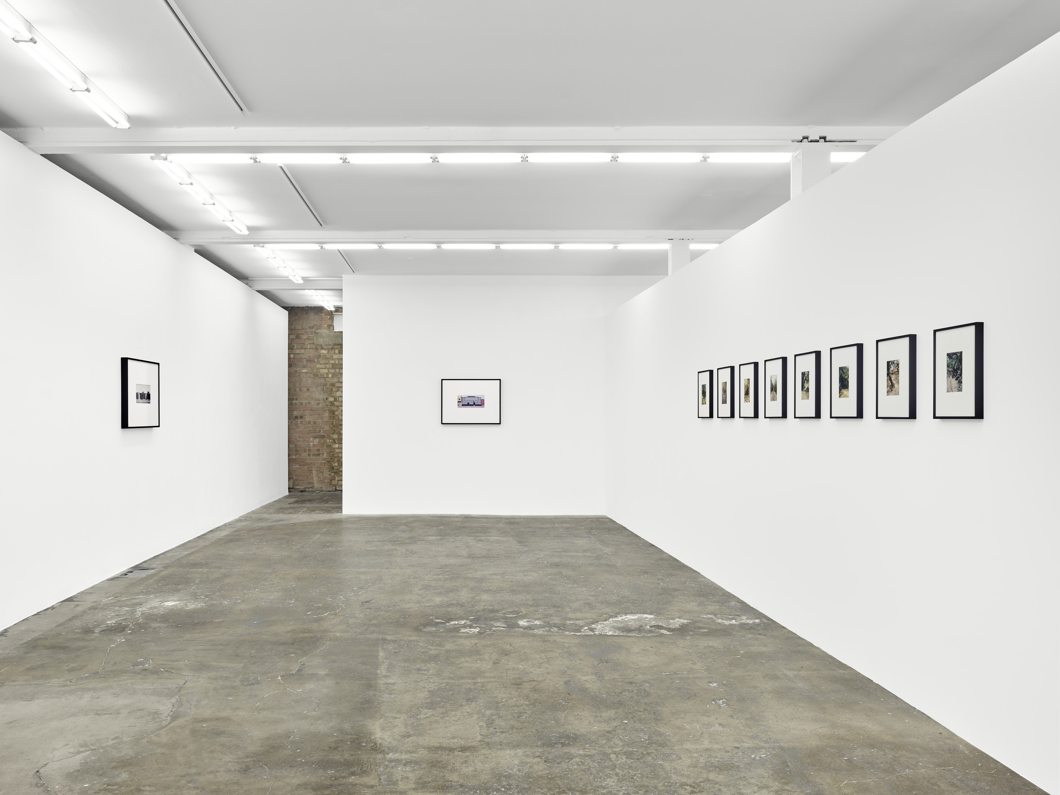 Dean Sameshima, Wonderland at Soft Opening, photo 3