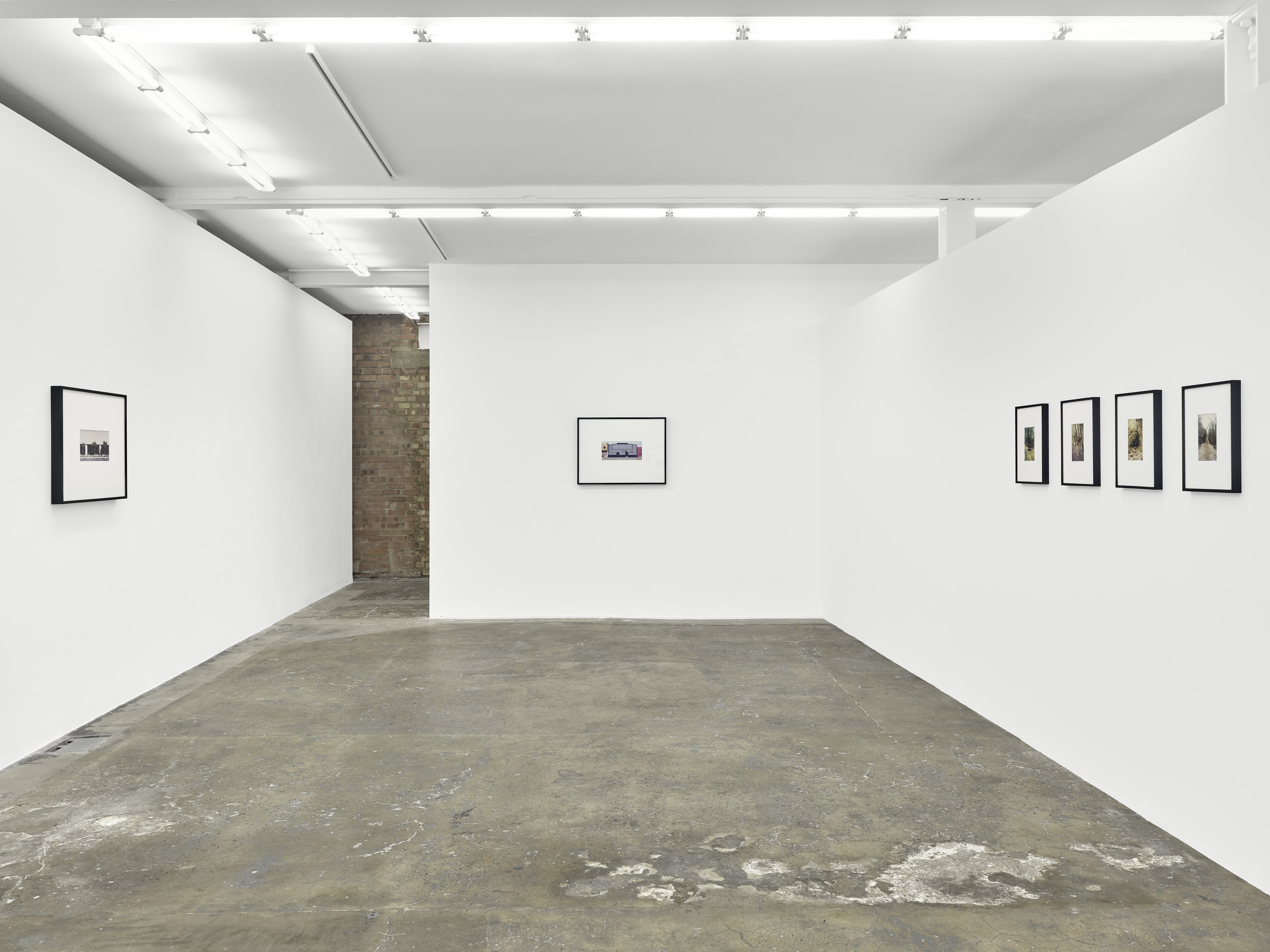 Dean Sameshima, Wonderland at Soft Opening, photo 5