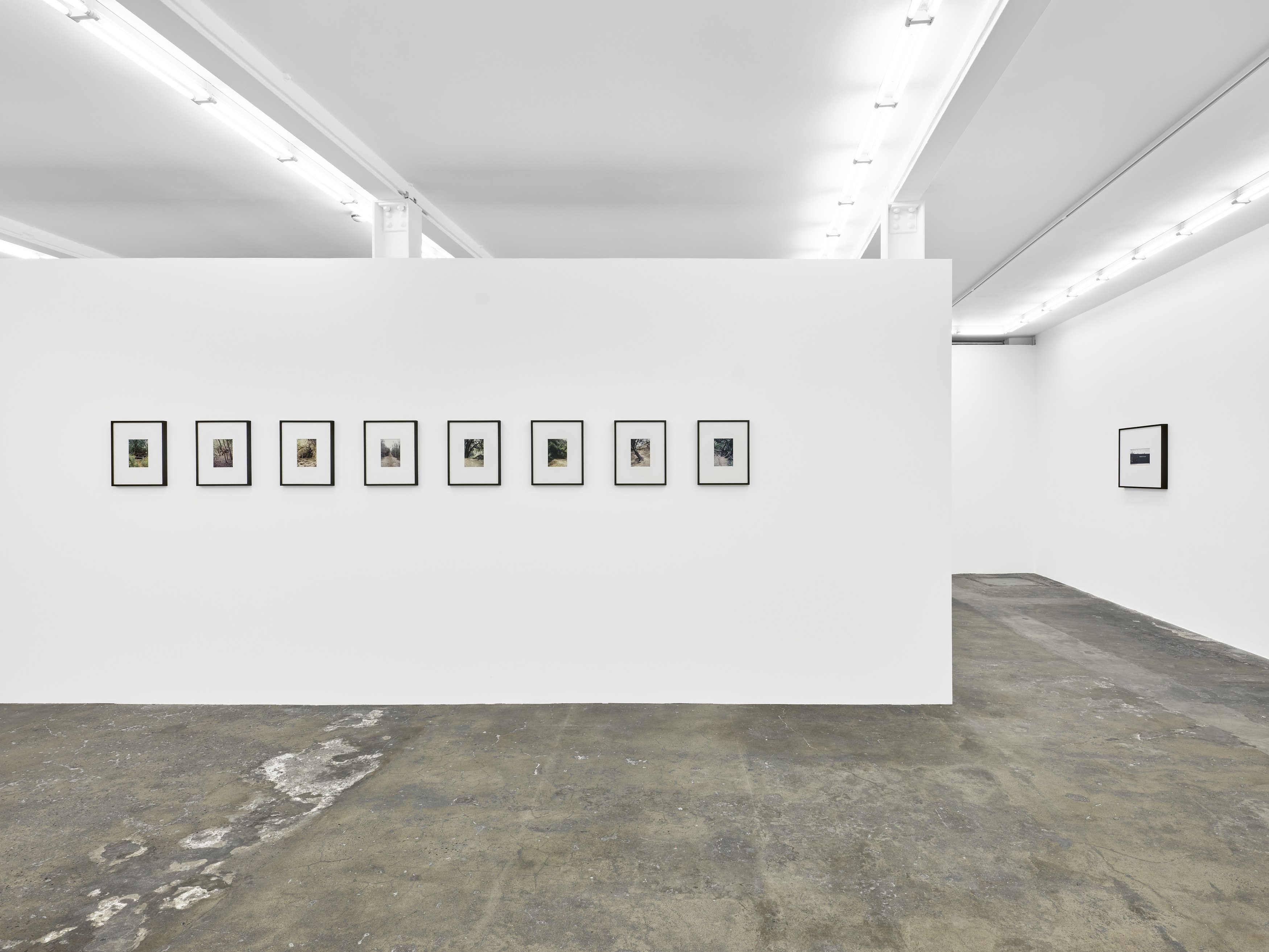 Dean Sameshima, Wonderland at Soft Opening, photo 7