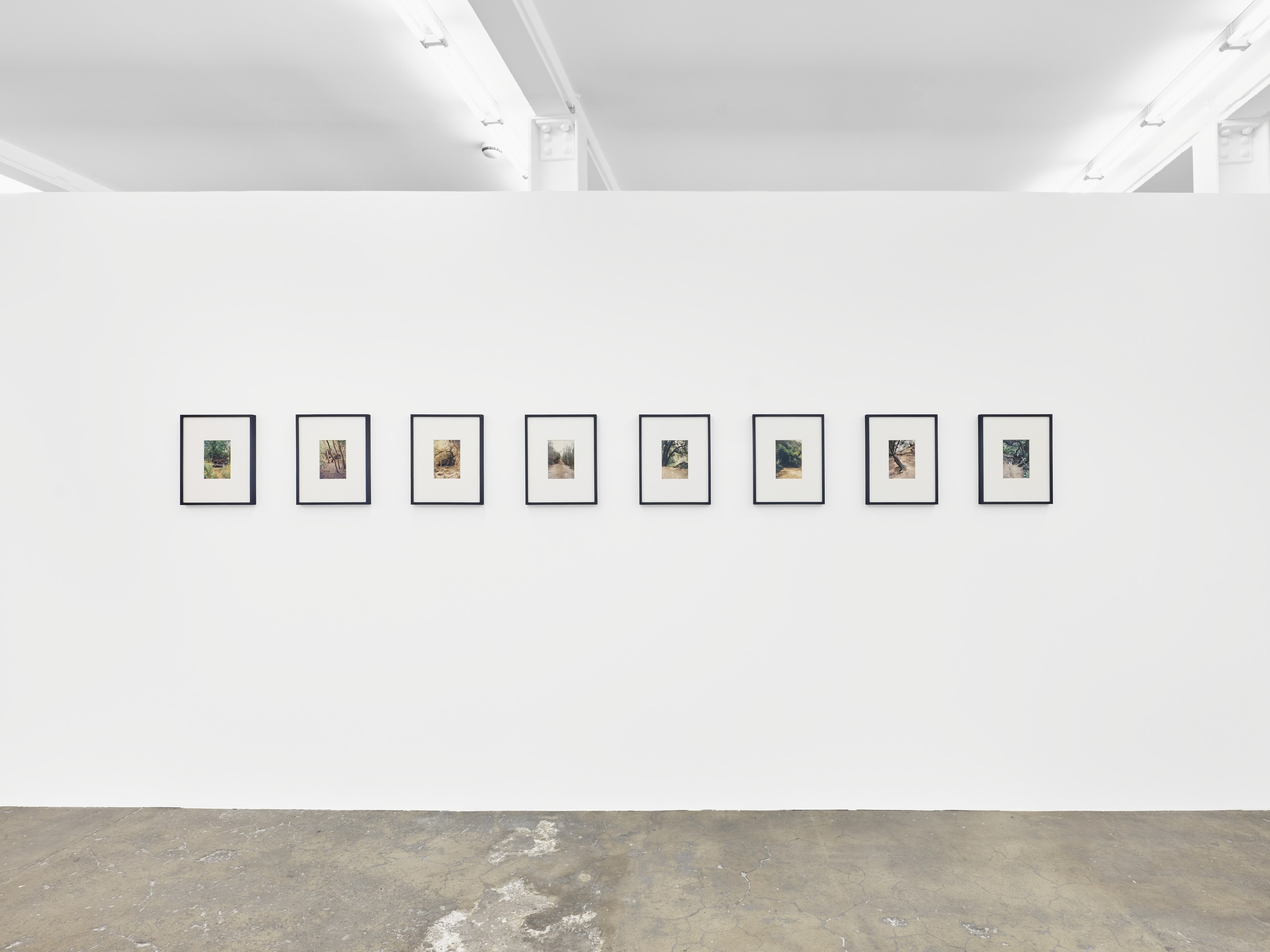Dean Sameshima, Wonderland at Soft Opening, photo 8