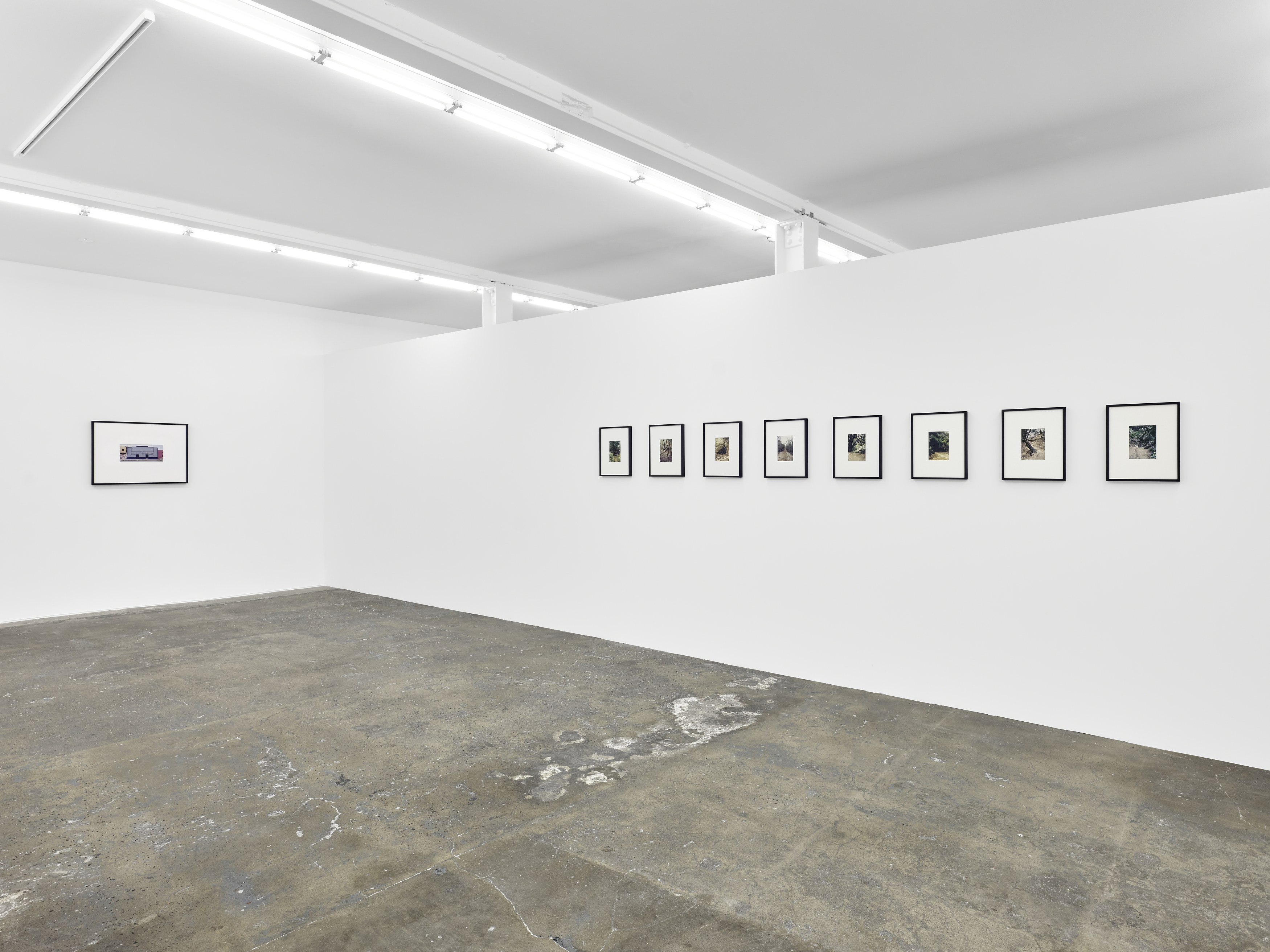 Dean Sameshima, Wonderland at Soft Opening, photo 9