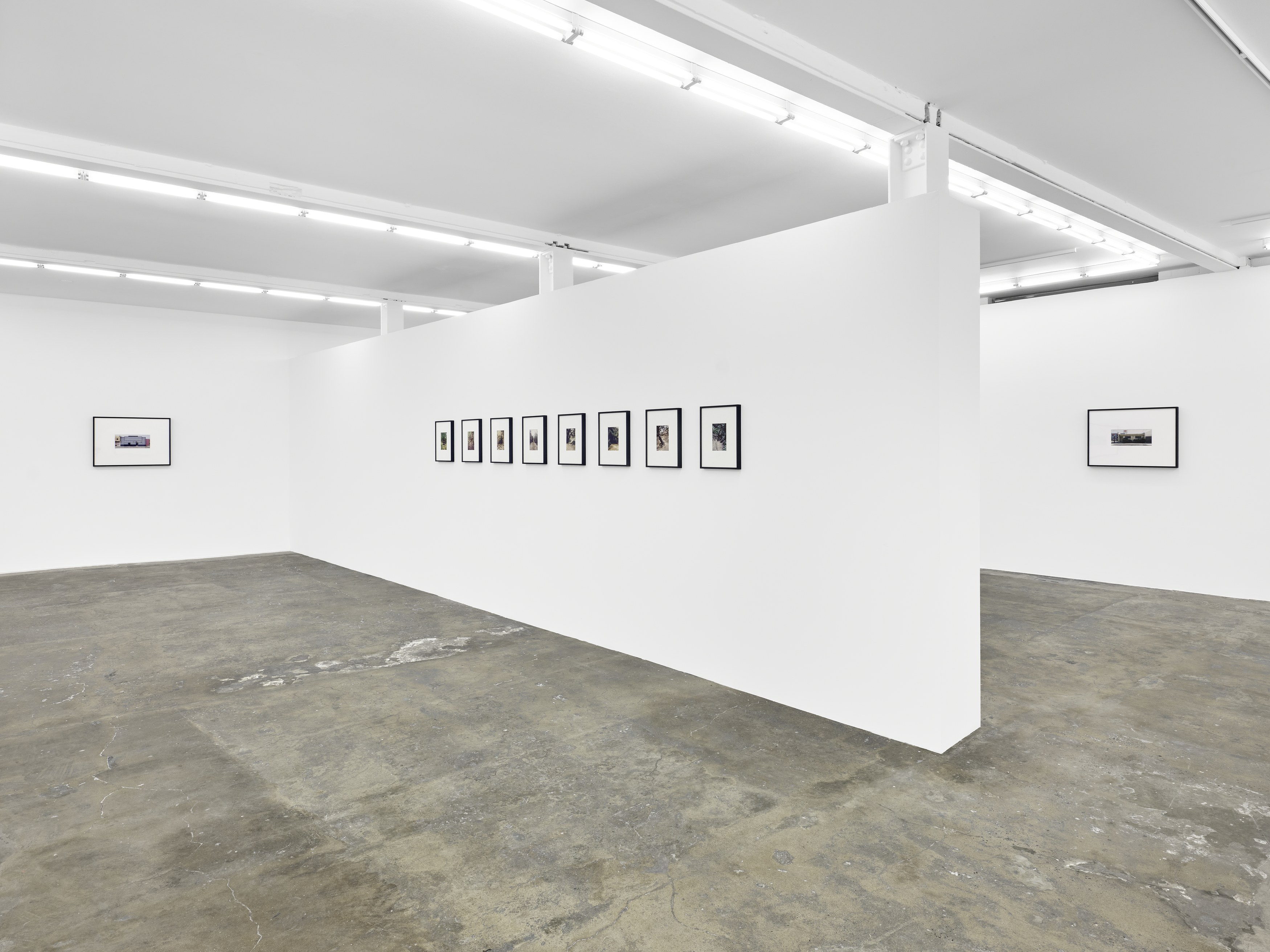 Dean Sameshima, Wonderland at Soft Opening, photo 10
