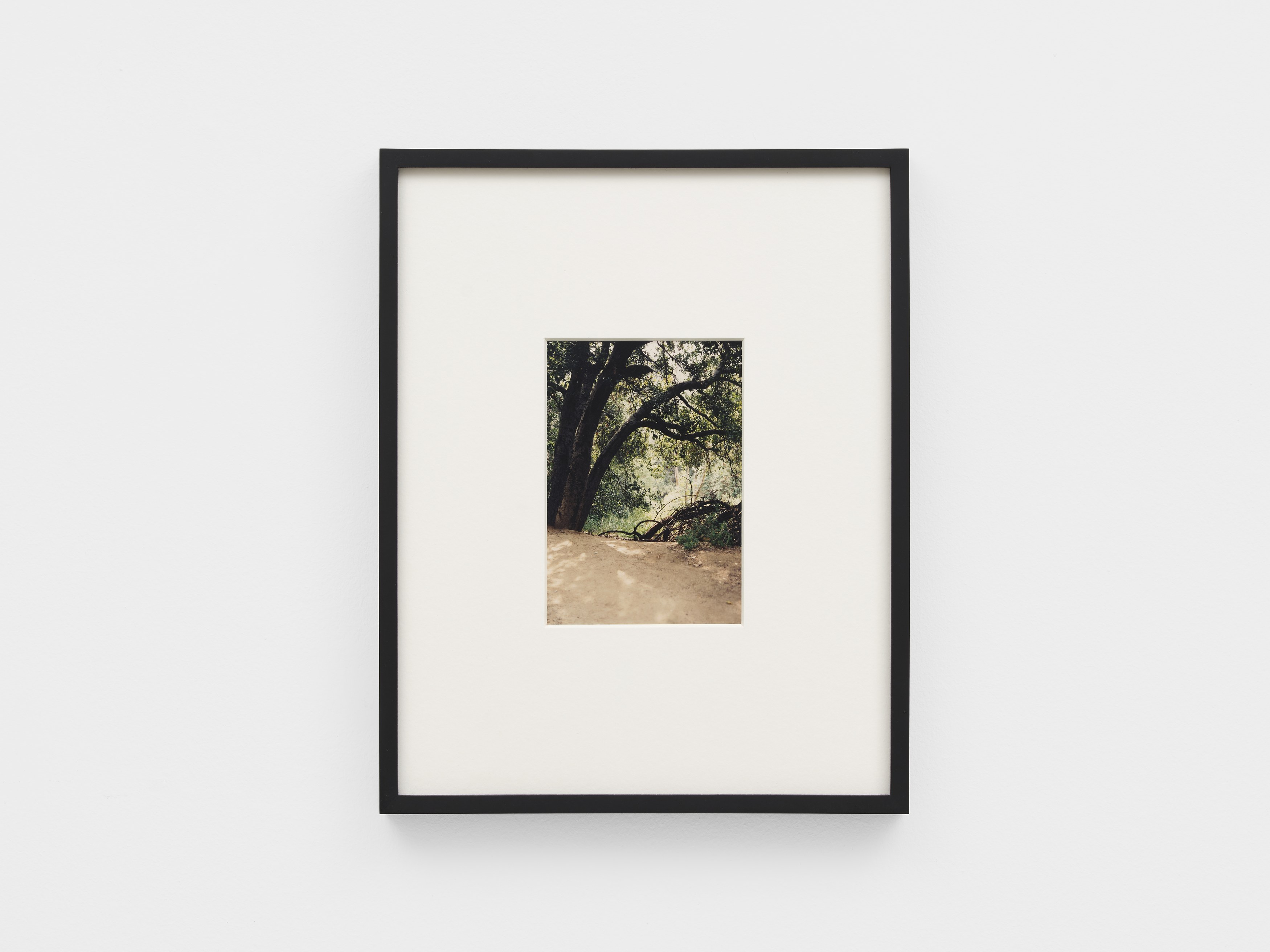 Dean Sameshima, Wonderland at Soft Opening, photo 17
