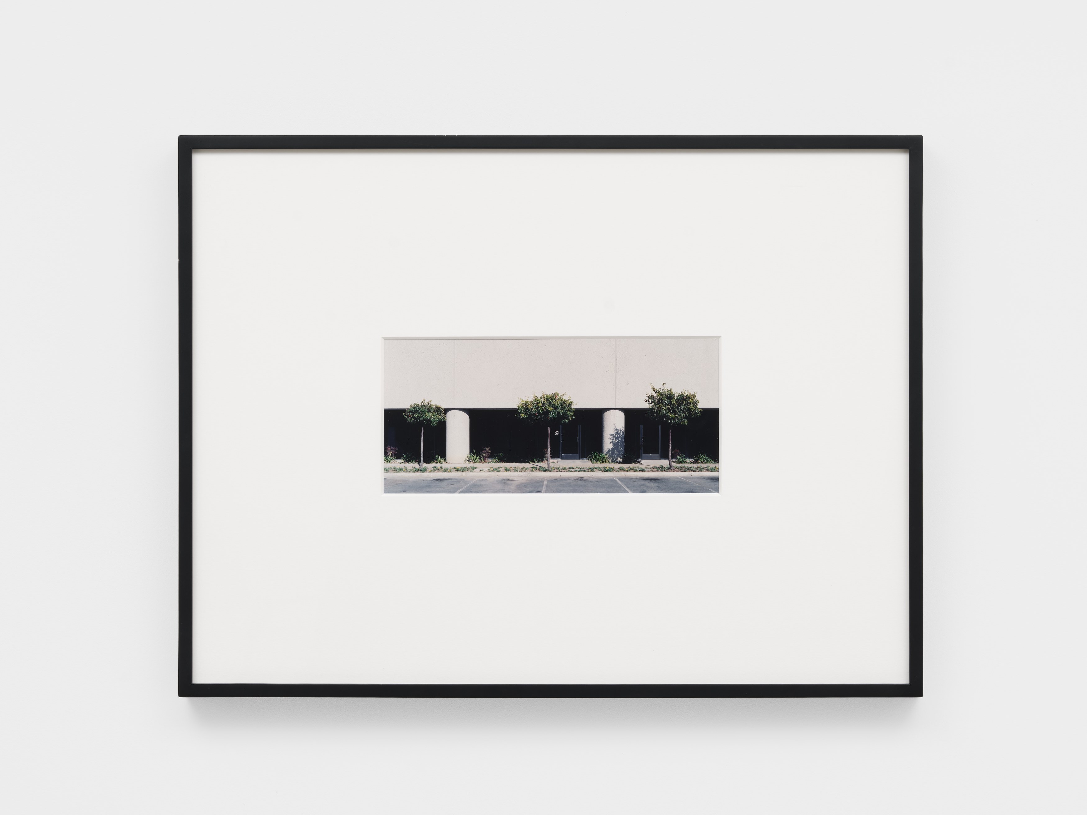 Dean Sameshima, Wonderland at Soft Opening, photo 22